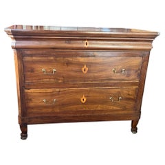Antique Italian Carlo X Walnut Chest Of Drawer, 19th Century