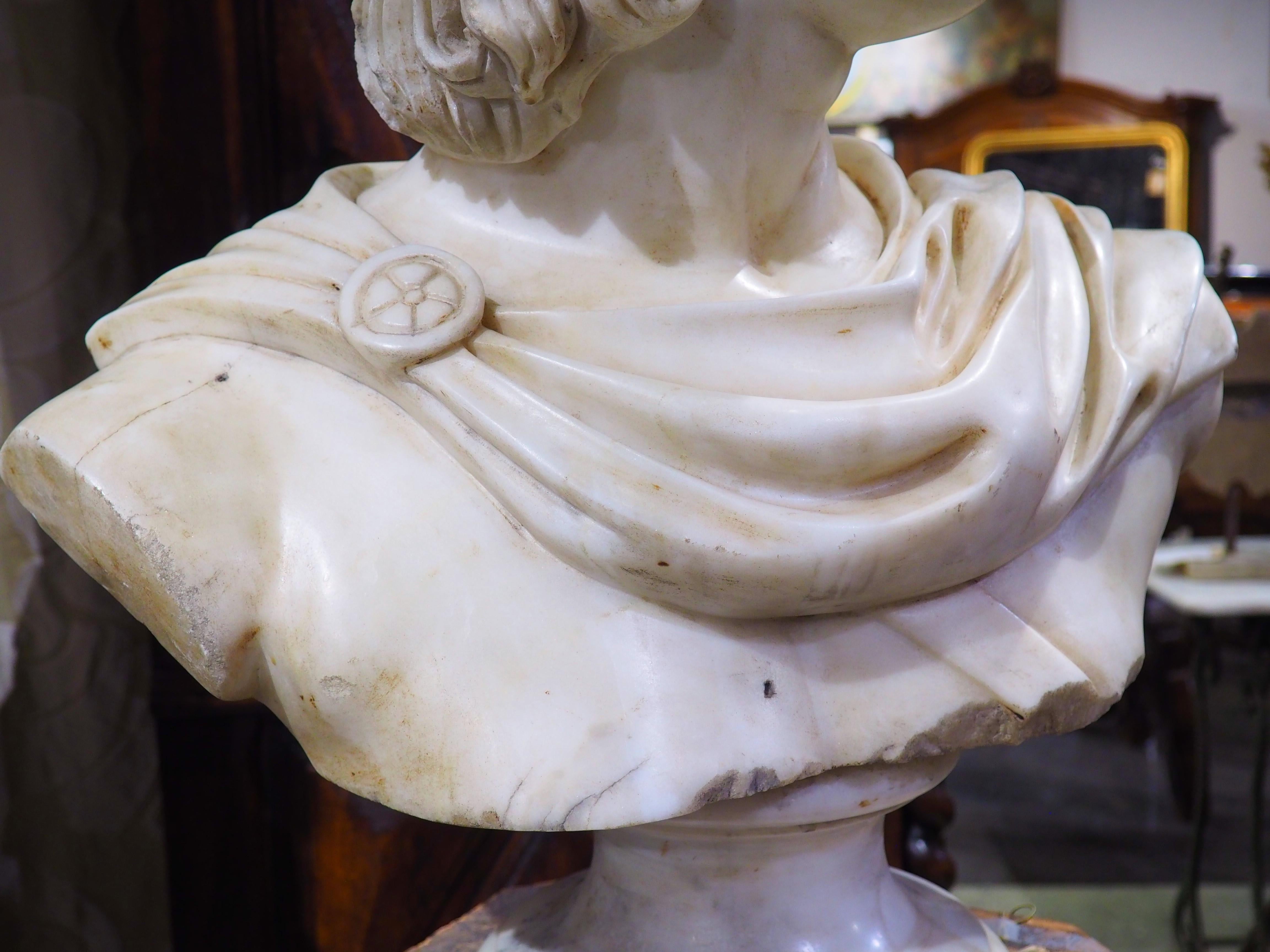 Antique Italian Carved Marble Bust of Apollo Belvedere, 19th Century 1
