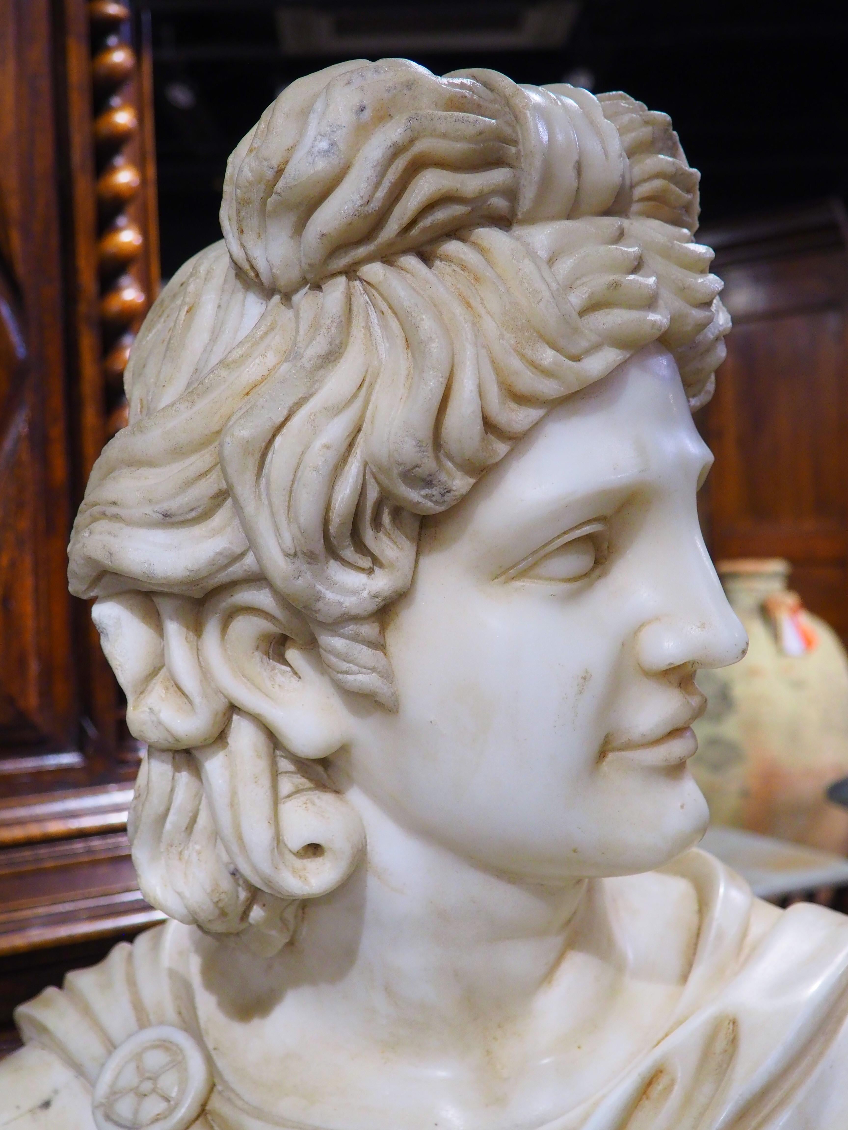 Antique Italian Carved Marble Bust of Apollo Belvedere, 19th Century 3
