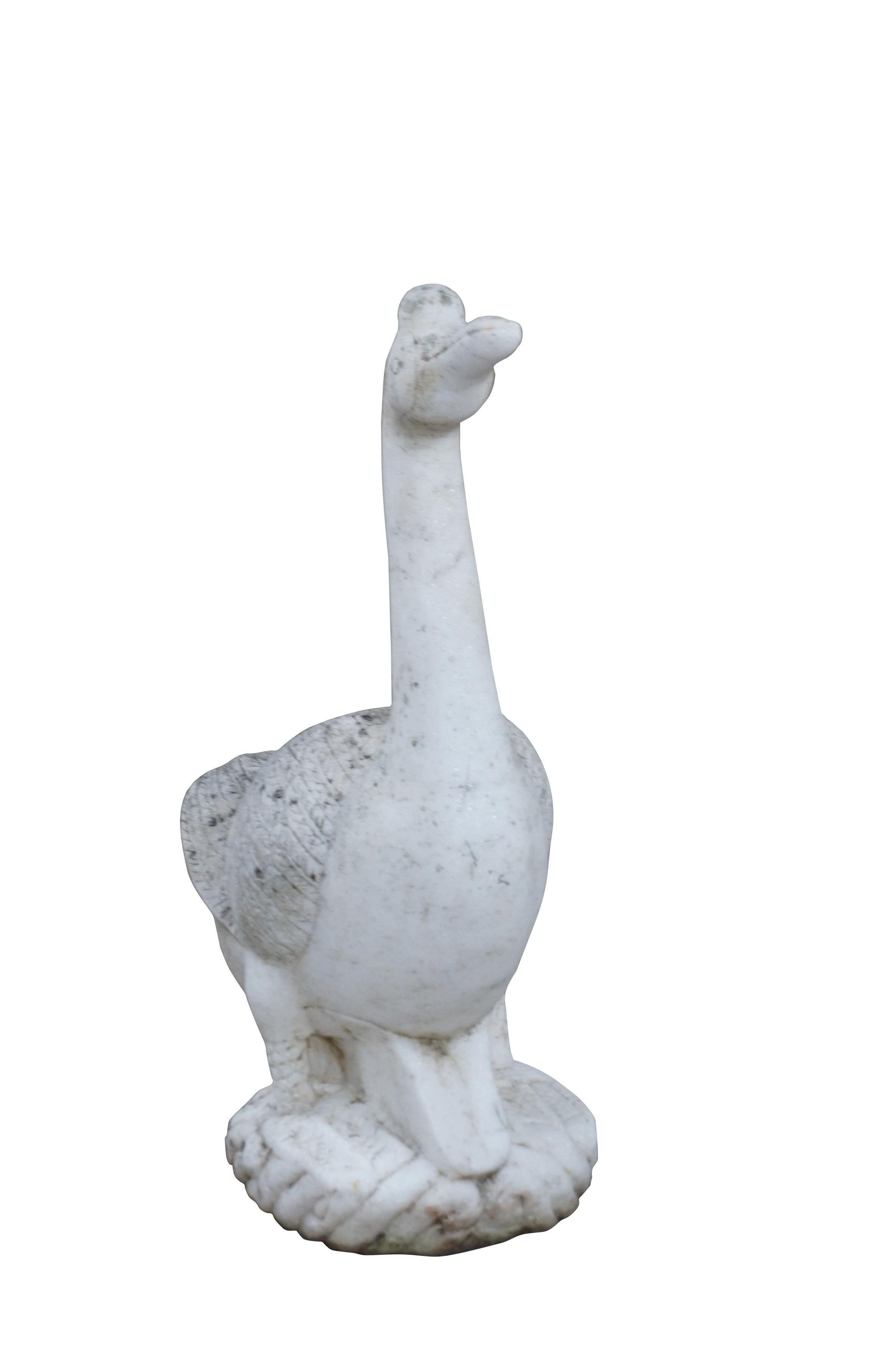 Lourde sculpture ancienne de jardin en marbre sculpté en forme d'oie. Fabriqué en Italie vers les années 1930.

Dimensions :
19