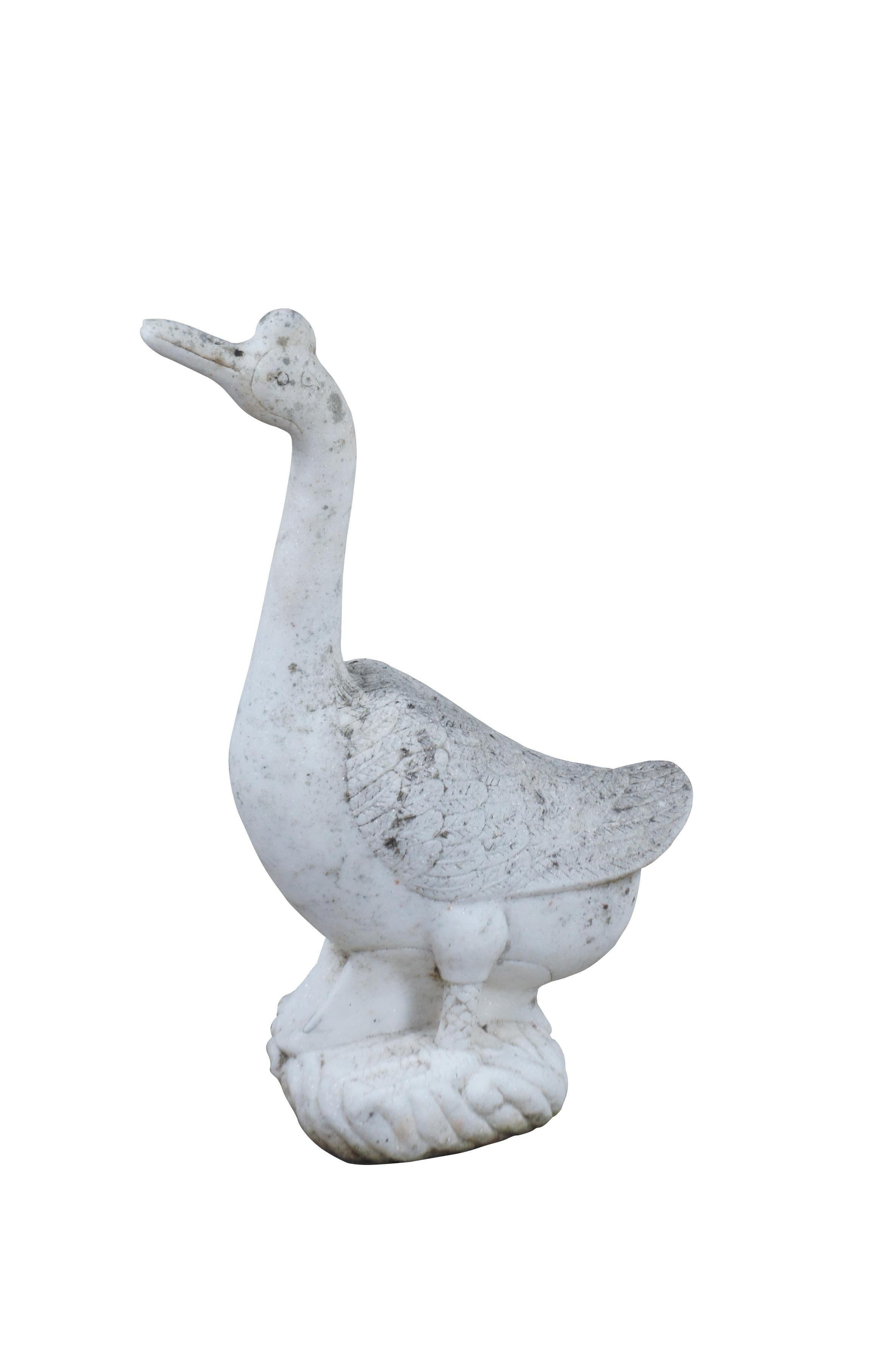 term marble goose