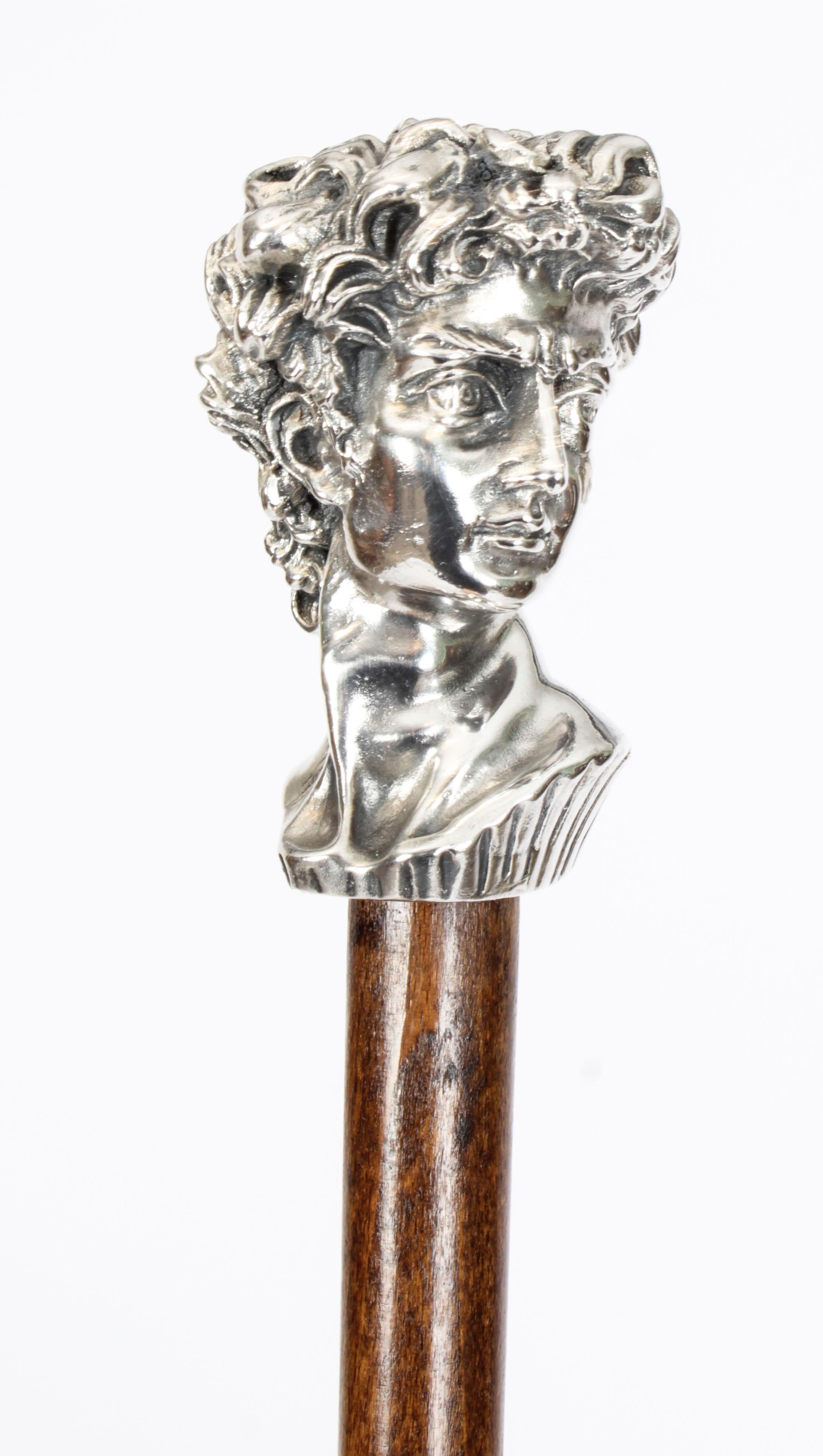 This is a beautiful antique Italian gentleman's cast 800 silver walking stick, Circa 1880 in date
 
This striking cane features an ornate cast silver mounted figure head pommel realistically modelled depicting a Romansque head, could be David, on