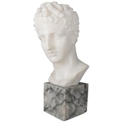 Vintage Italian Classical Carved Alabaster Sculpture of Julius Caesar circa 1900