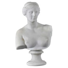 Antique Italian Grand Tour Marble Bust of Venus circa 1850