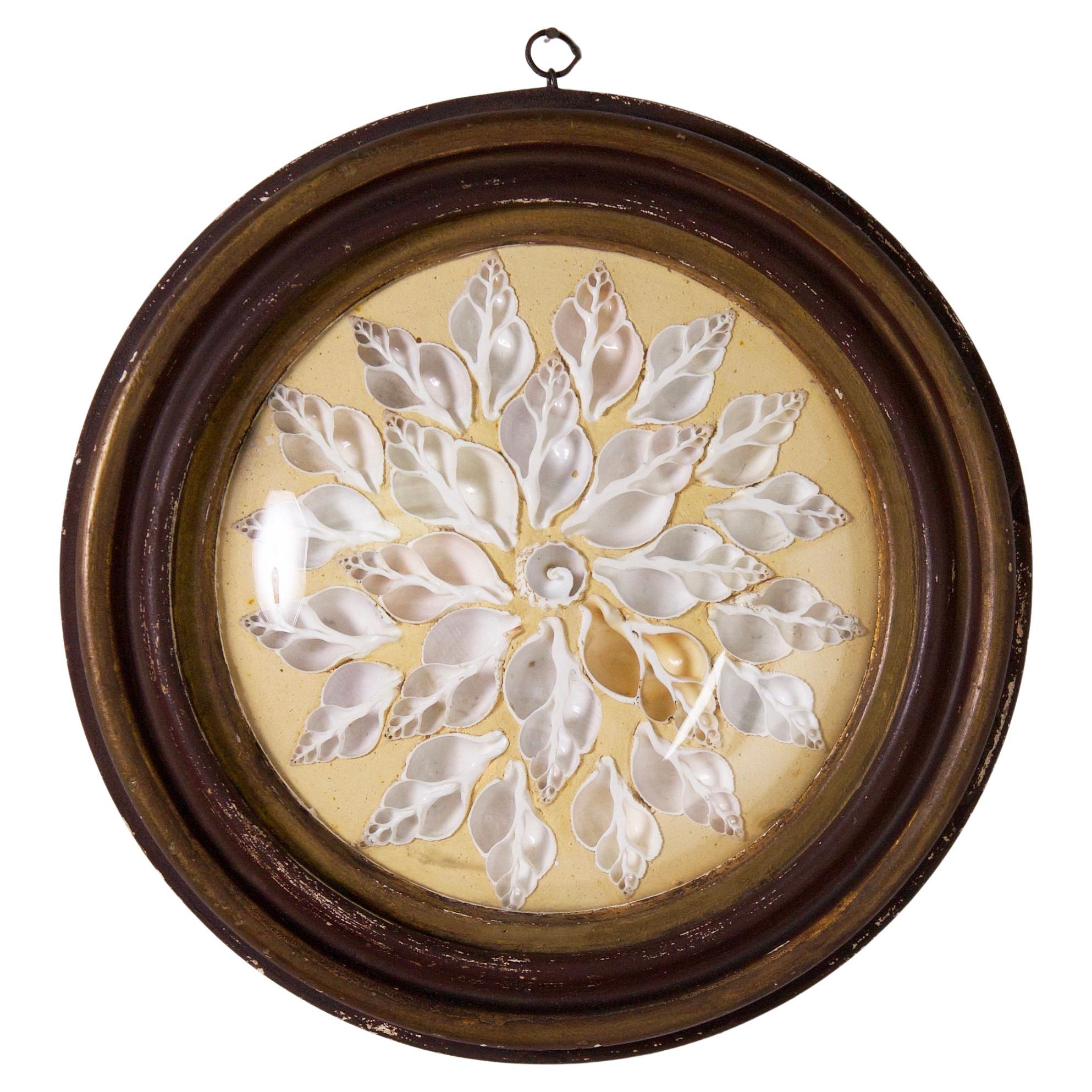 Antique Italian Grotto Style Framed Seashell Arrangement or Valentine