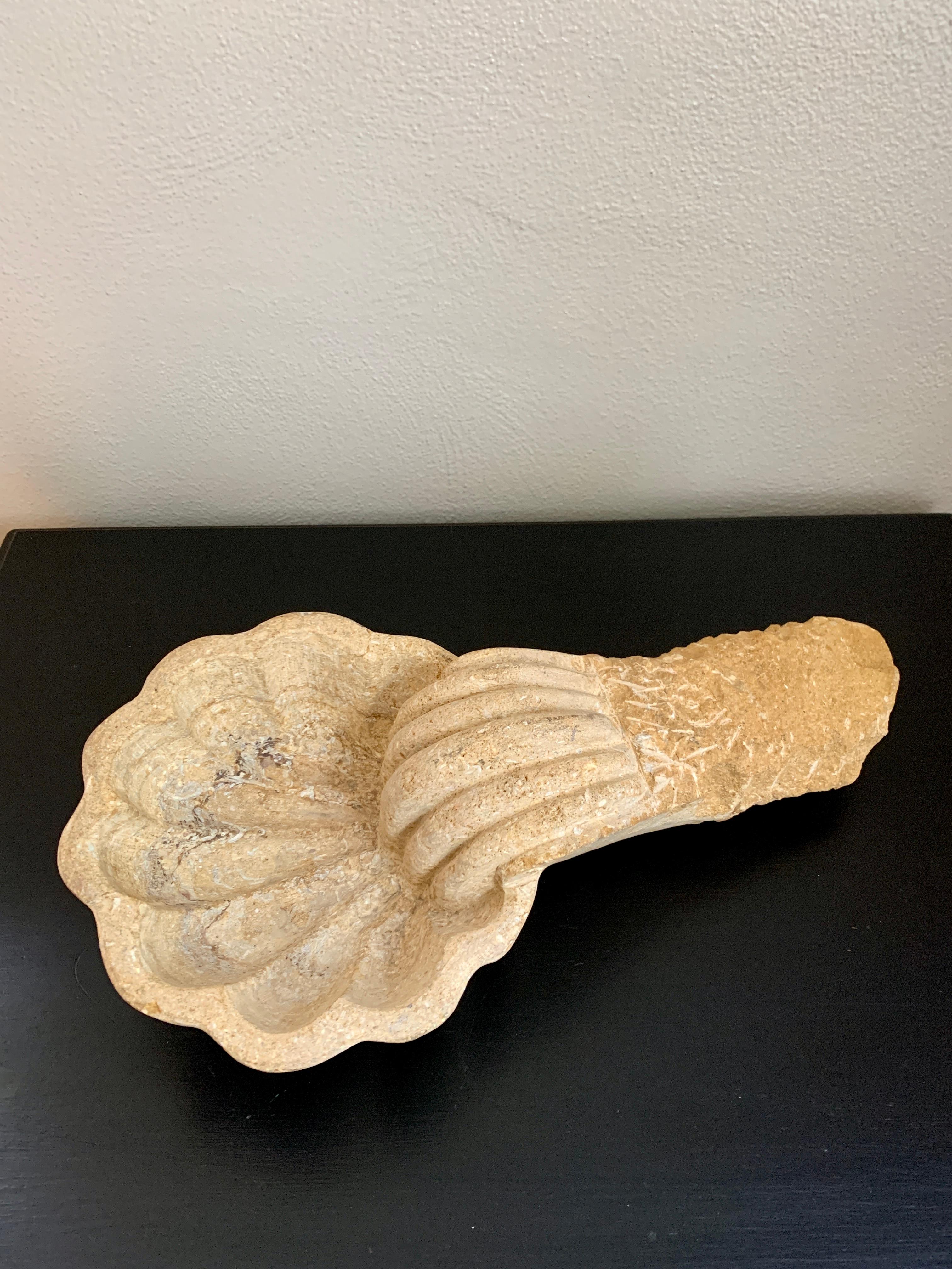 Ein wunderschönes barockes, handgeschnitztes Weihwasserbecken aus Marmor in Form einer Muschel. Dieses Stück wäre ein schönes Kunstobjekt, eine Skulptur oder sogar eine Gartendekoration.

Italien, 19. Jahrhundert

Maße: 17 