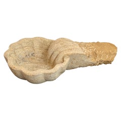 Font italien ancien en forme de coquillage en marbre sculpté à la main, 19ème siècle