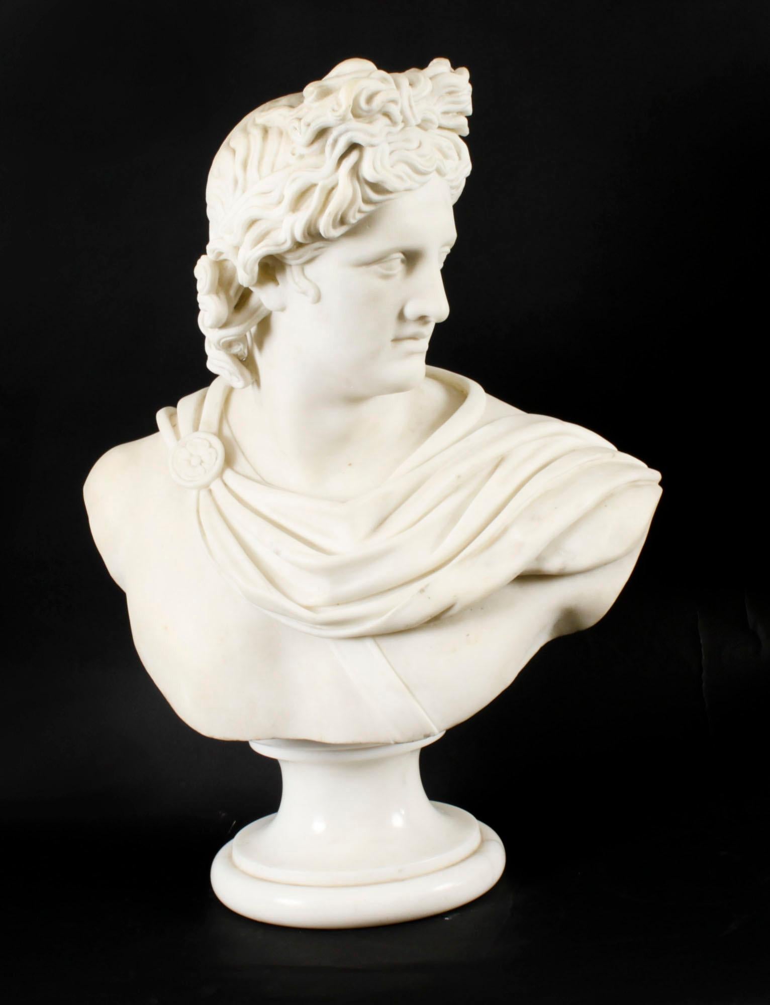 Antique Italian Marble Bust of Greek God Apollo Belvedere 19th Century In Good Condition For Sale In London, GB