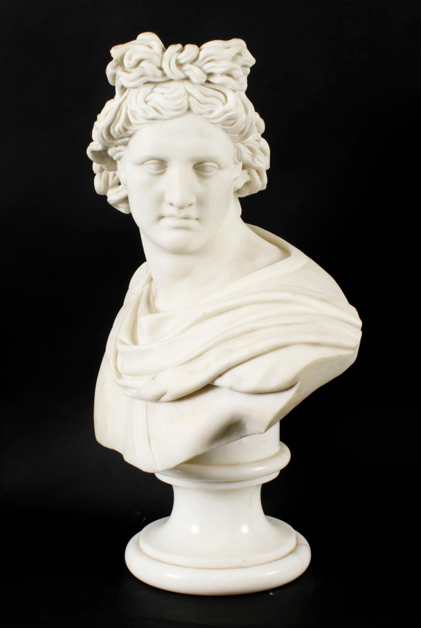 Late 19th Century Antique Italian Marble Bust of Greek God Apollo Belvedere 19th Century For Sale