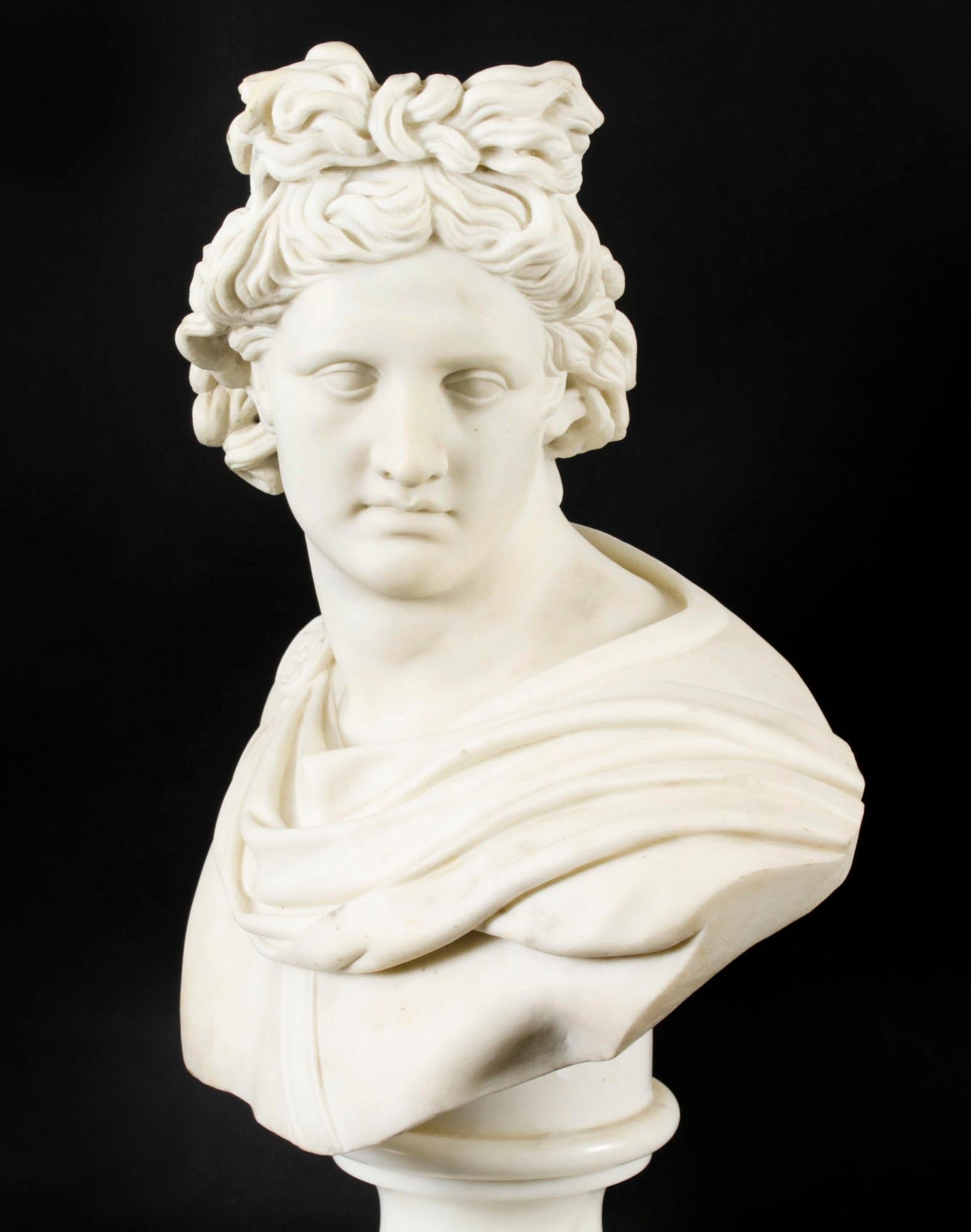 Antique Italian Marble Bust of Greek God Apollo Belvedere 19th Century For Sale 1
