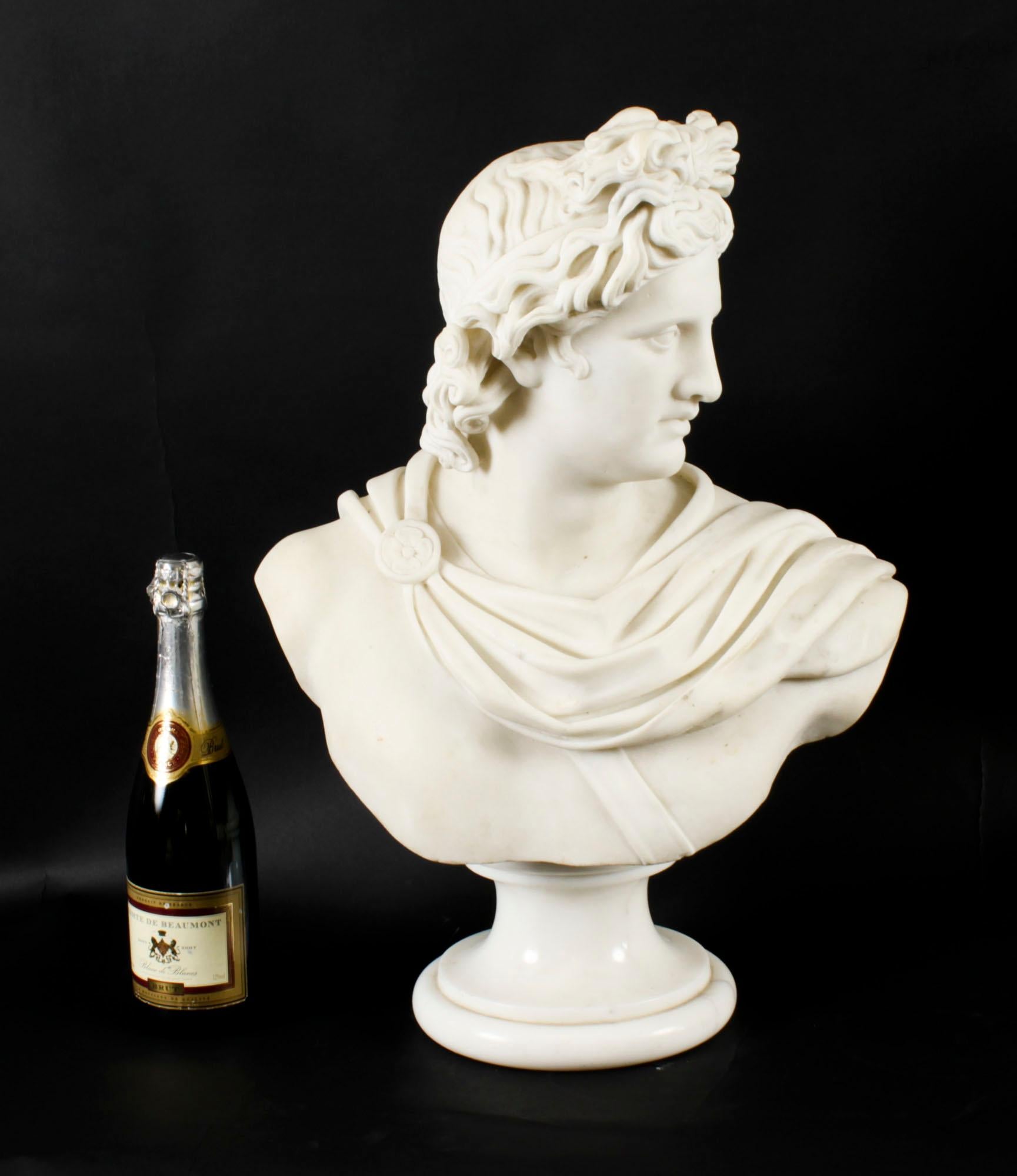 Antique Italian Marble Bust of Greek God Apollo Belvedere 19th Century For Sale 4