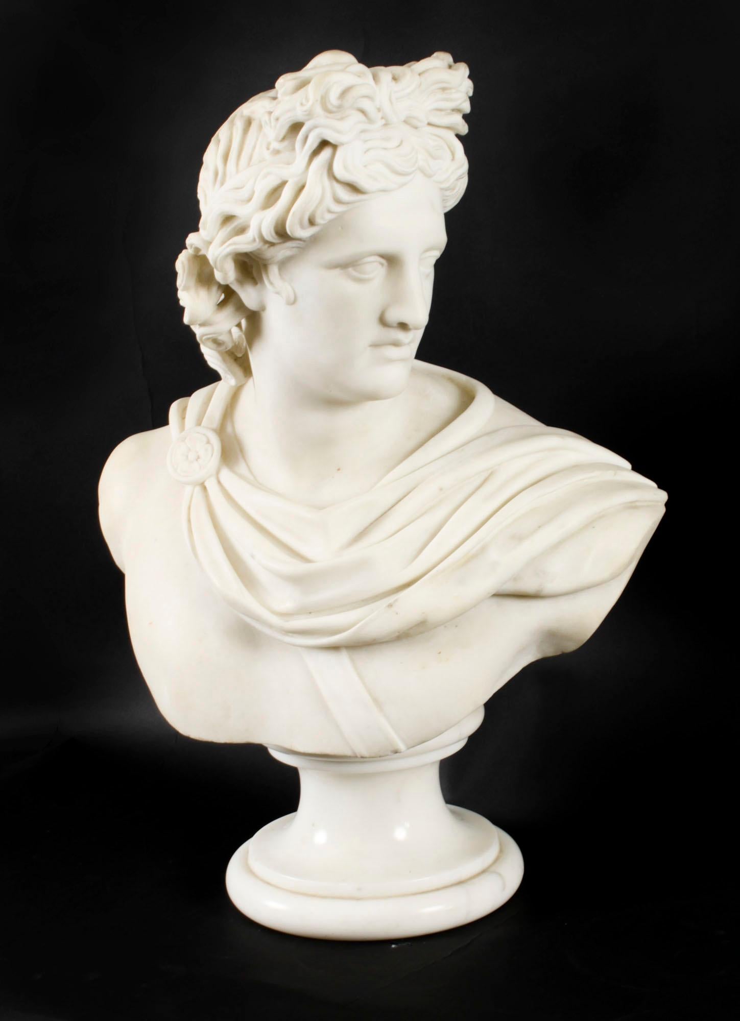 Antique Italian Marble Bust of Greek God Apollo Belvedere 19th Century For Sale 5