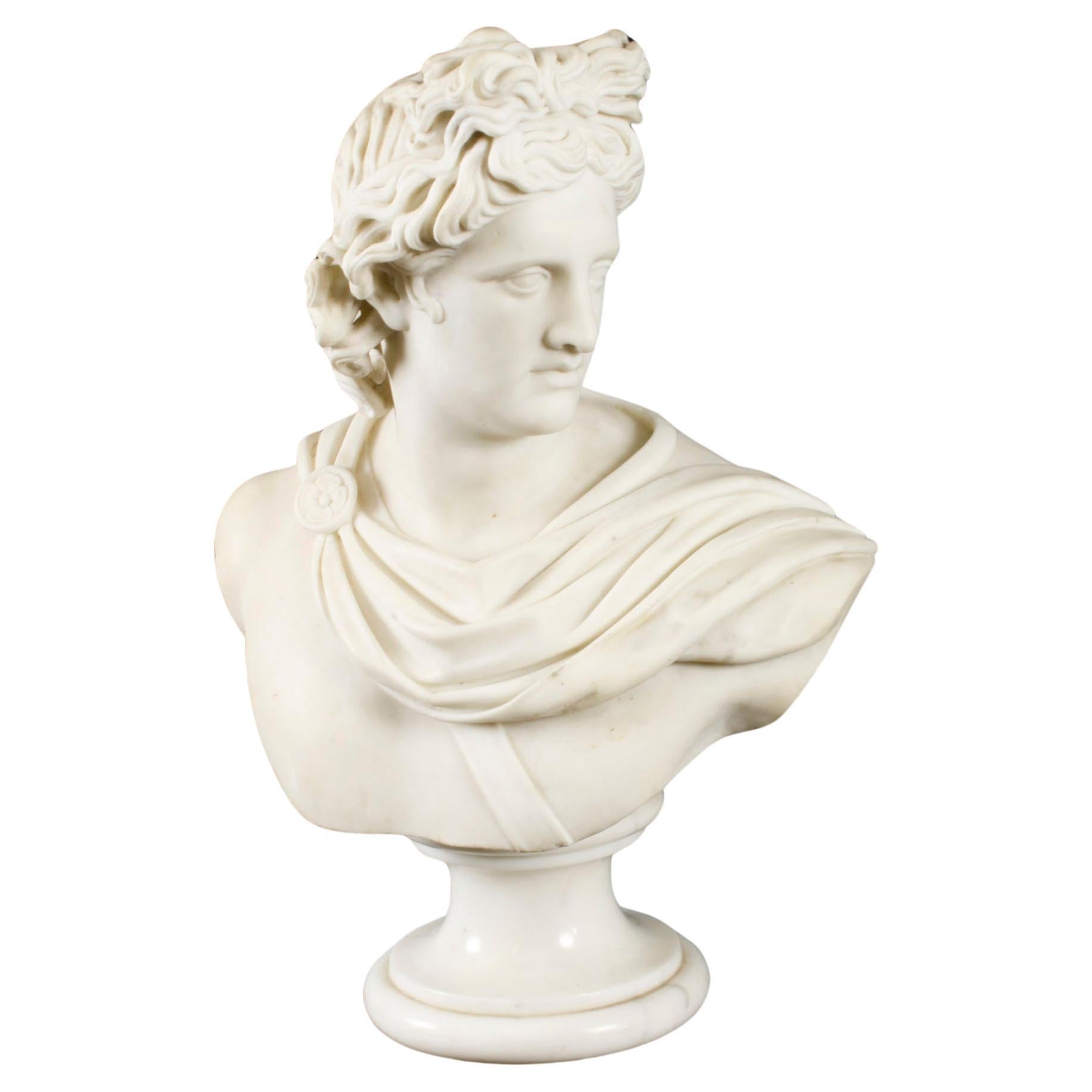 Antique Italian Marble Bust of Greek God Apollo Belvedere 19th Century
