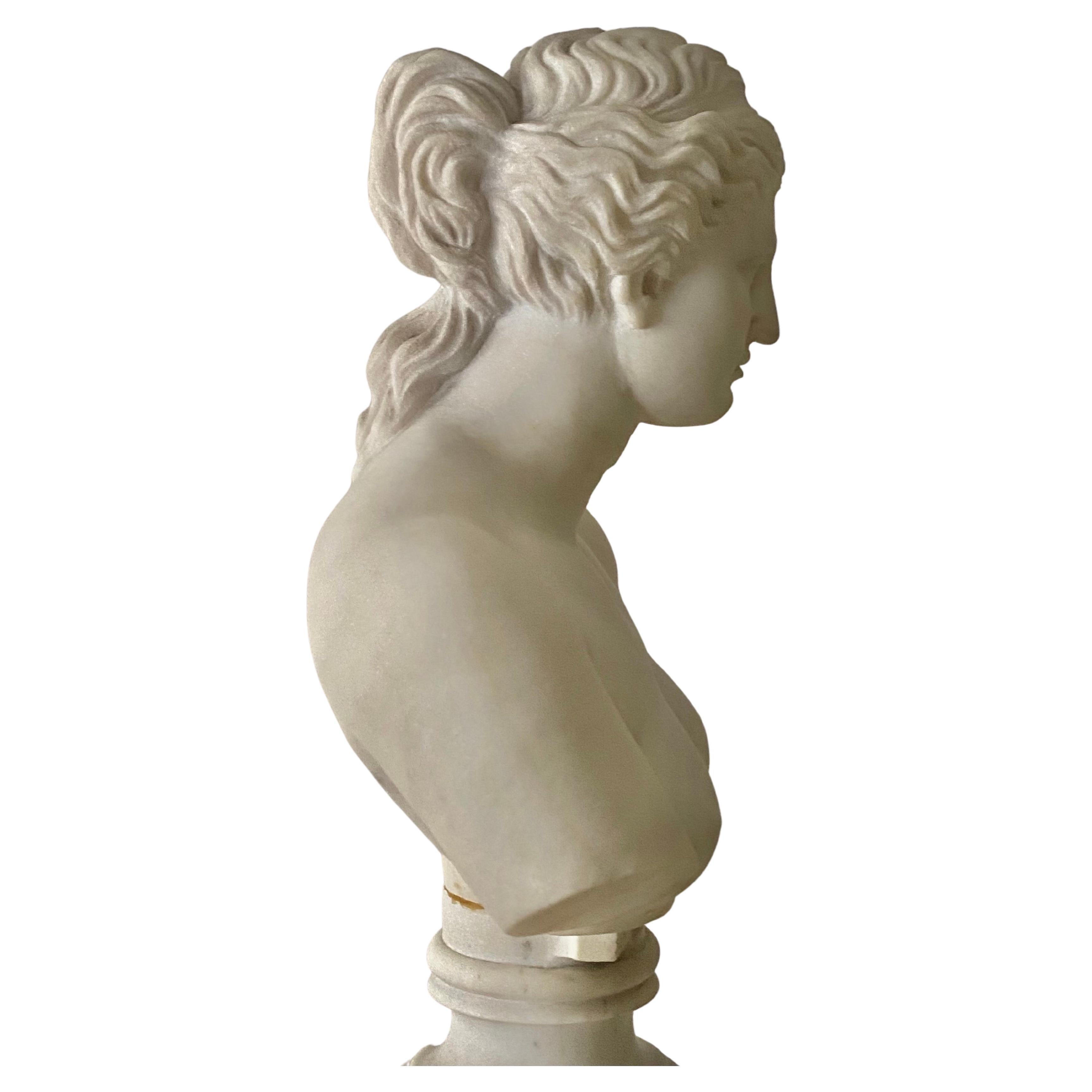 Antique Italian Marble Bust on Stand of Venus De Milo For Sale 5