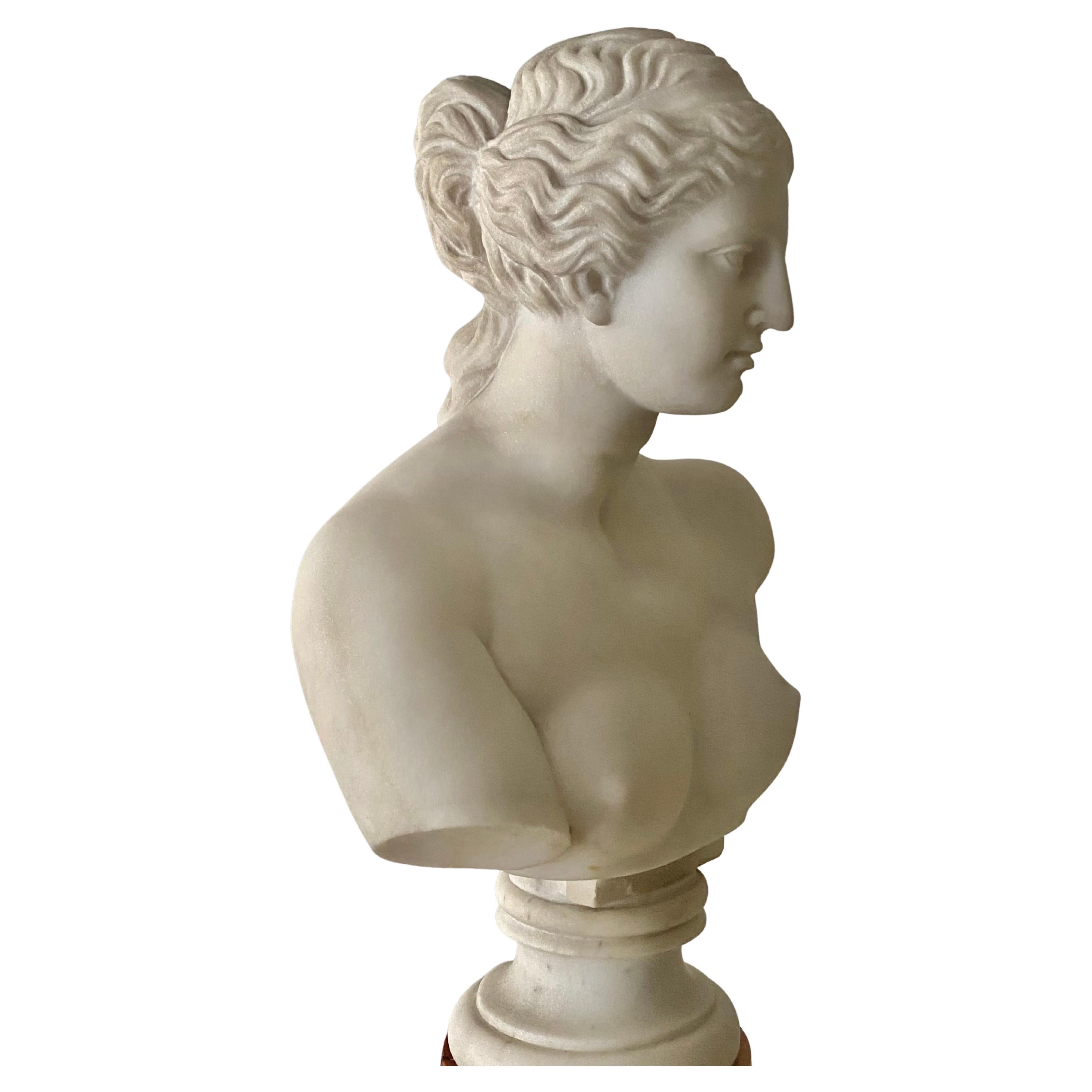 Antique Italian Marble Bust on Stand of Venus De Milo For Sale 7