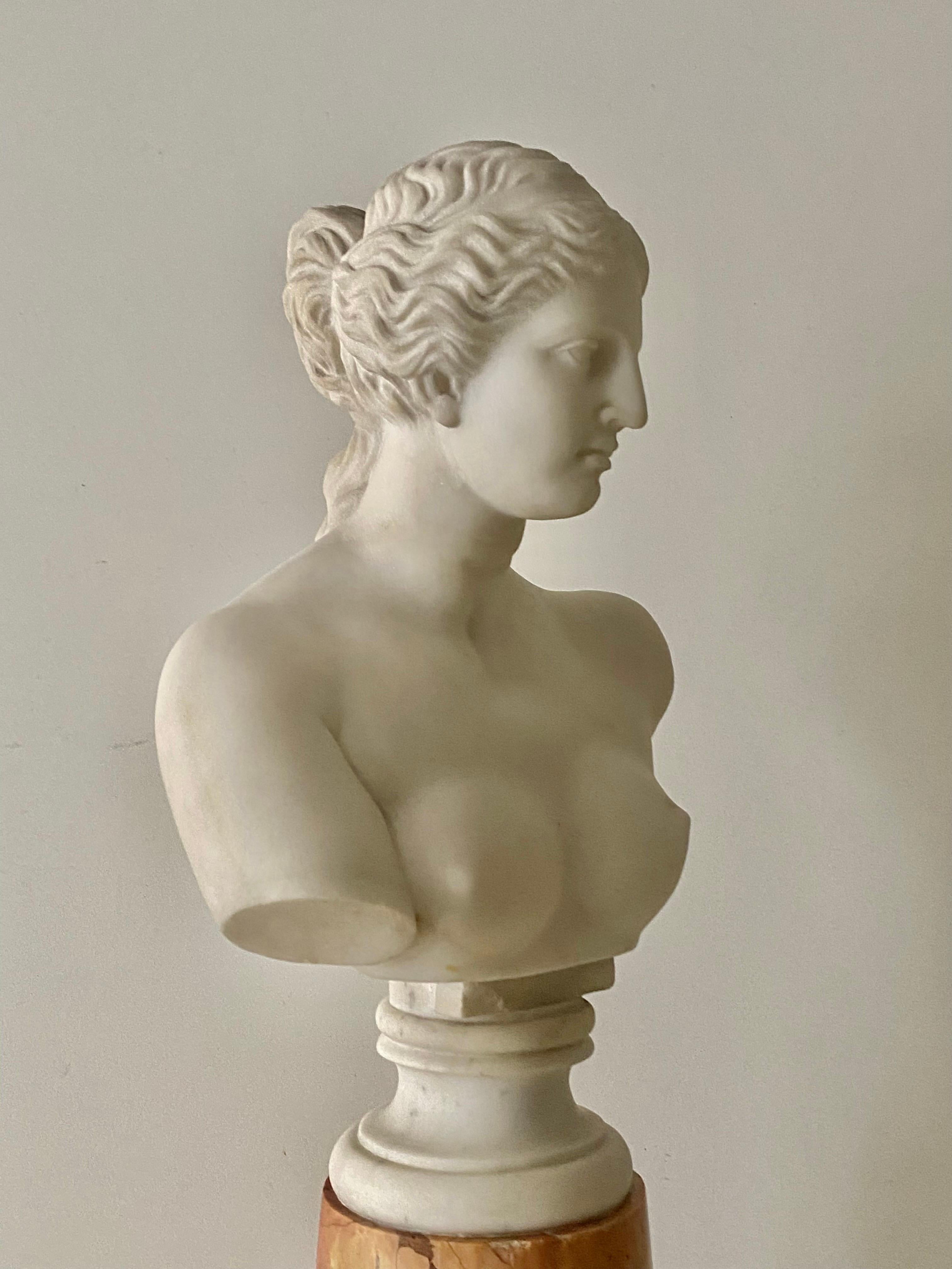 Antique Italian Marble Bust on Stand of Venus De Milo For Sale 9