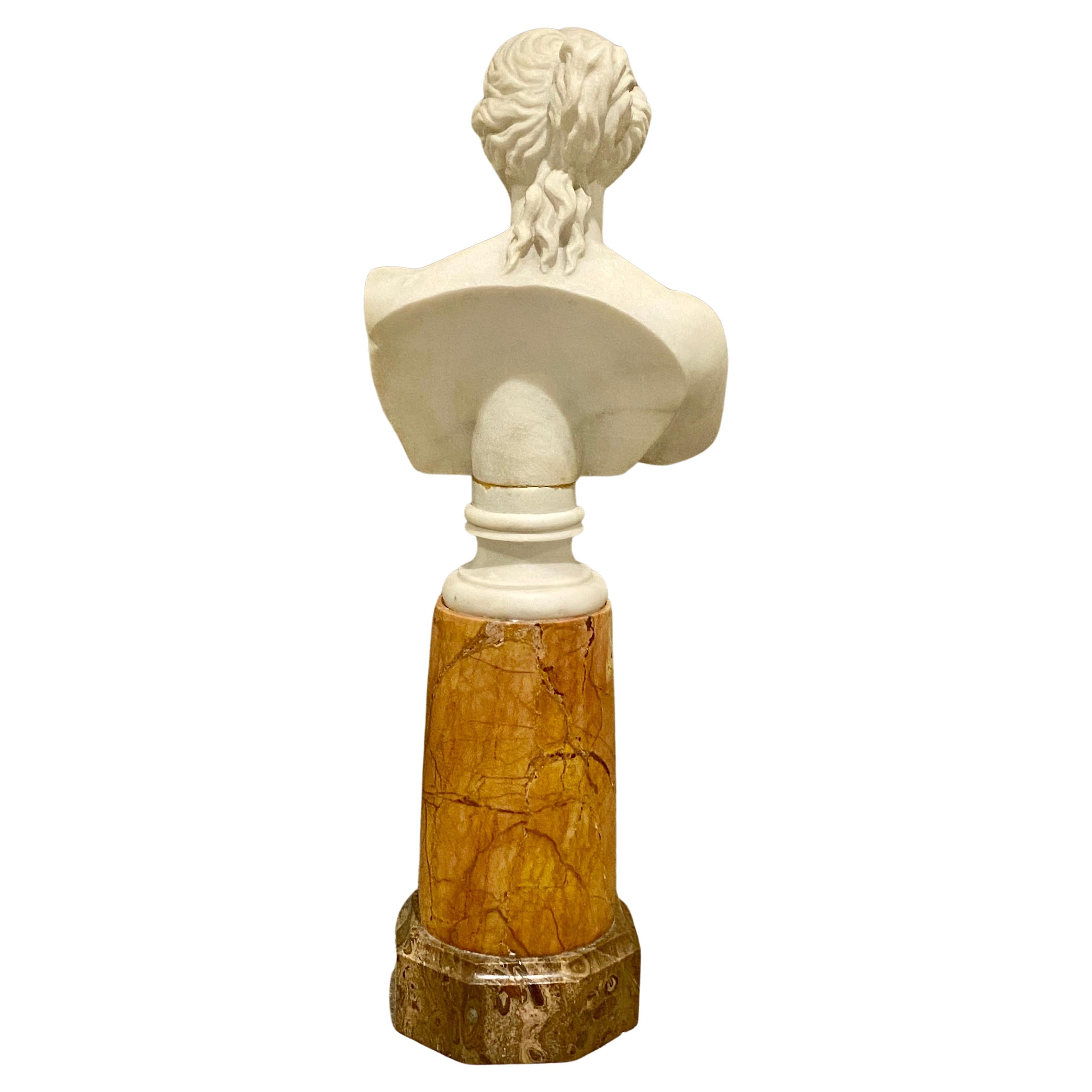 Antique Italian Marble Bust on Stand of Venus De Milo For Sale 12