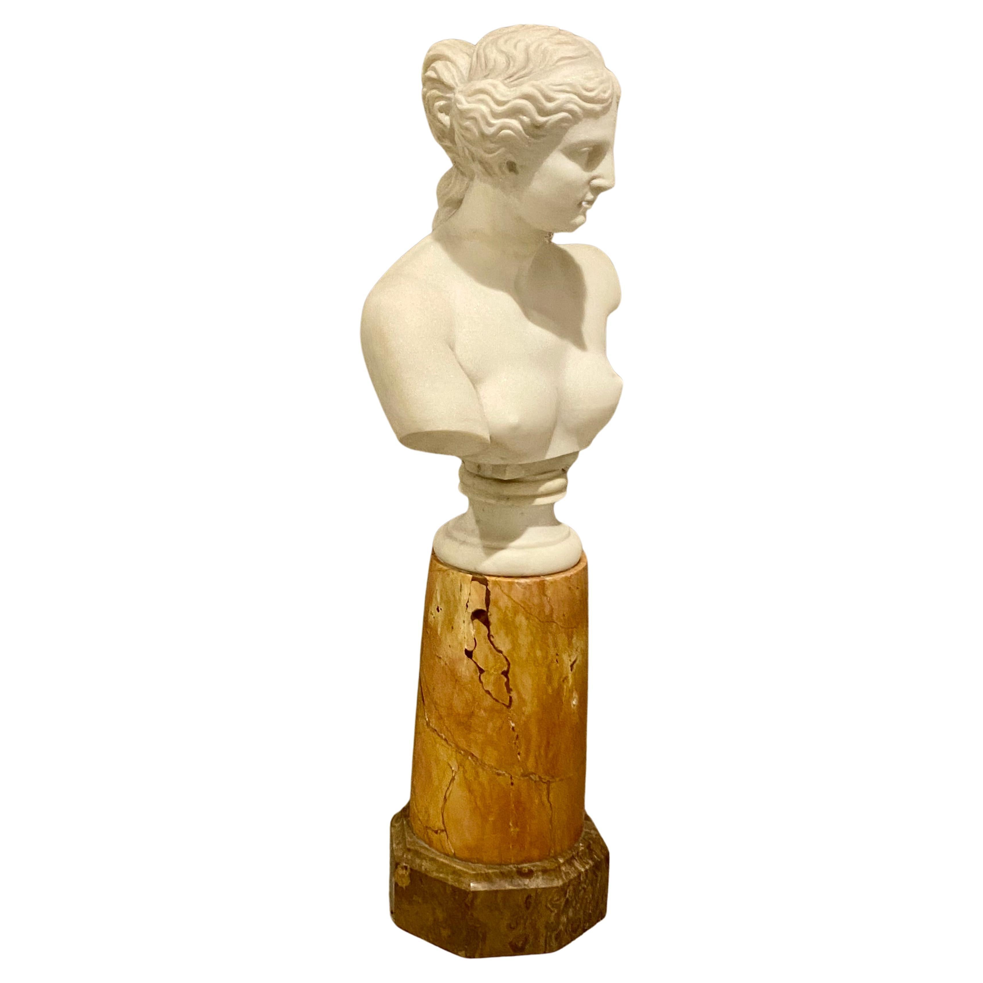 A High quality 19th Century Bust of the Venus de Milo.
This is carved in solid marble.
A superb Portrait of a Venus in marble placed on a rouge marble column on a Brown octagonal Marble base. This was made in Italy around 1880 and looks amazing with