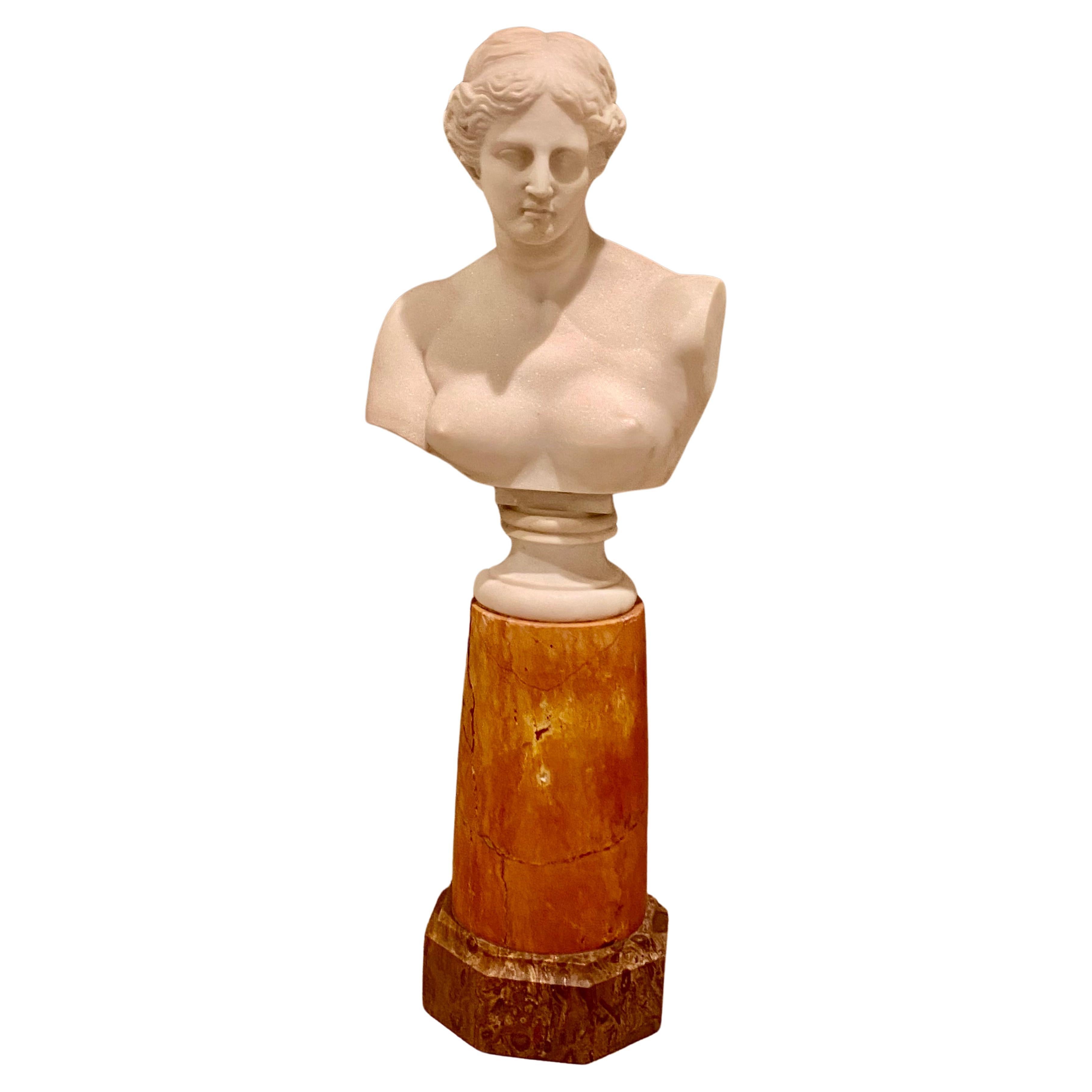 Late 19th Century Antique Italian Marble Bust on Stand of Venus De Milo For Sale