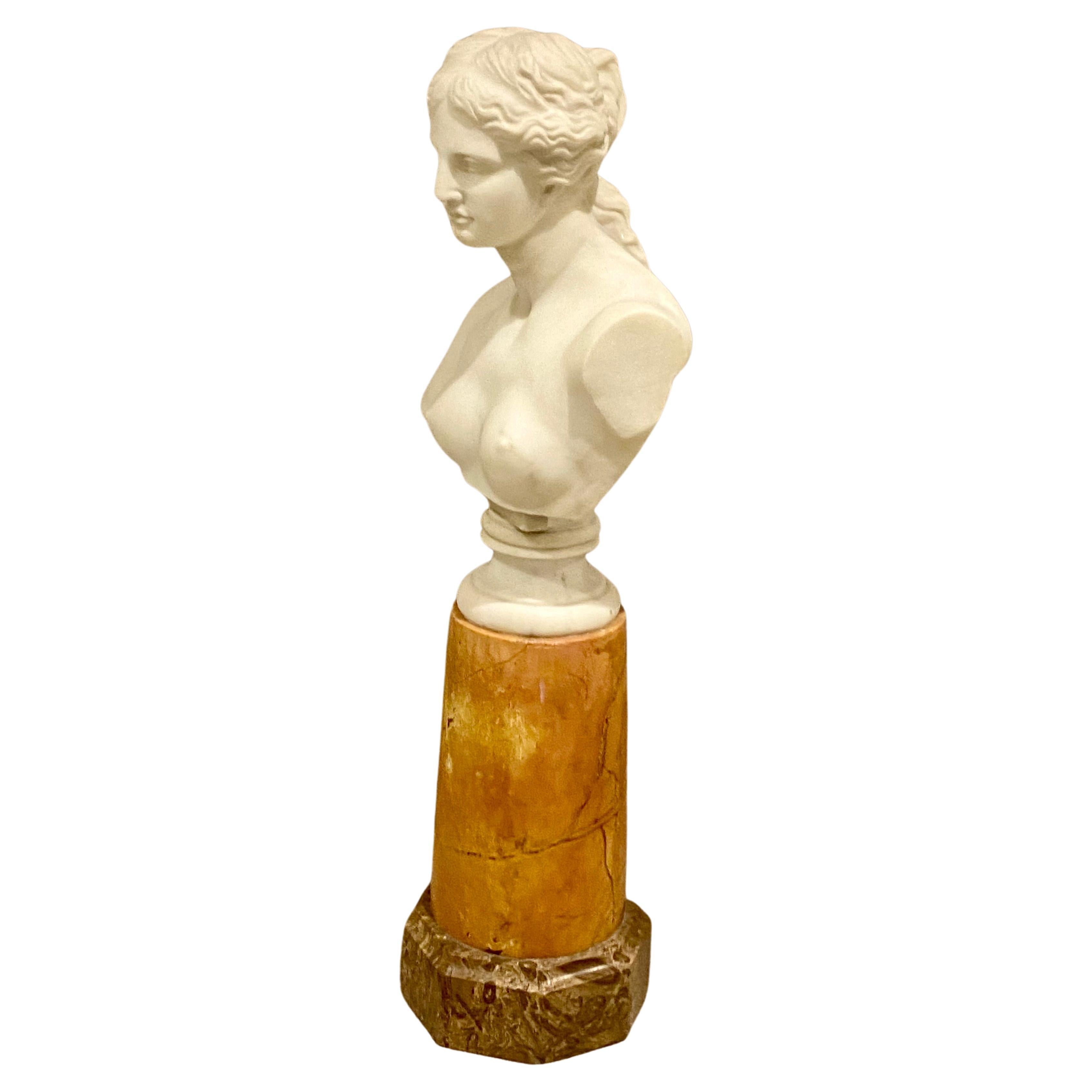 Antique Italian Marble Bust on Stand of Venus De Milo For Sale 2