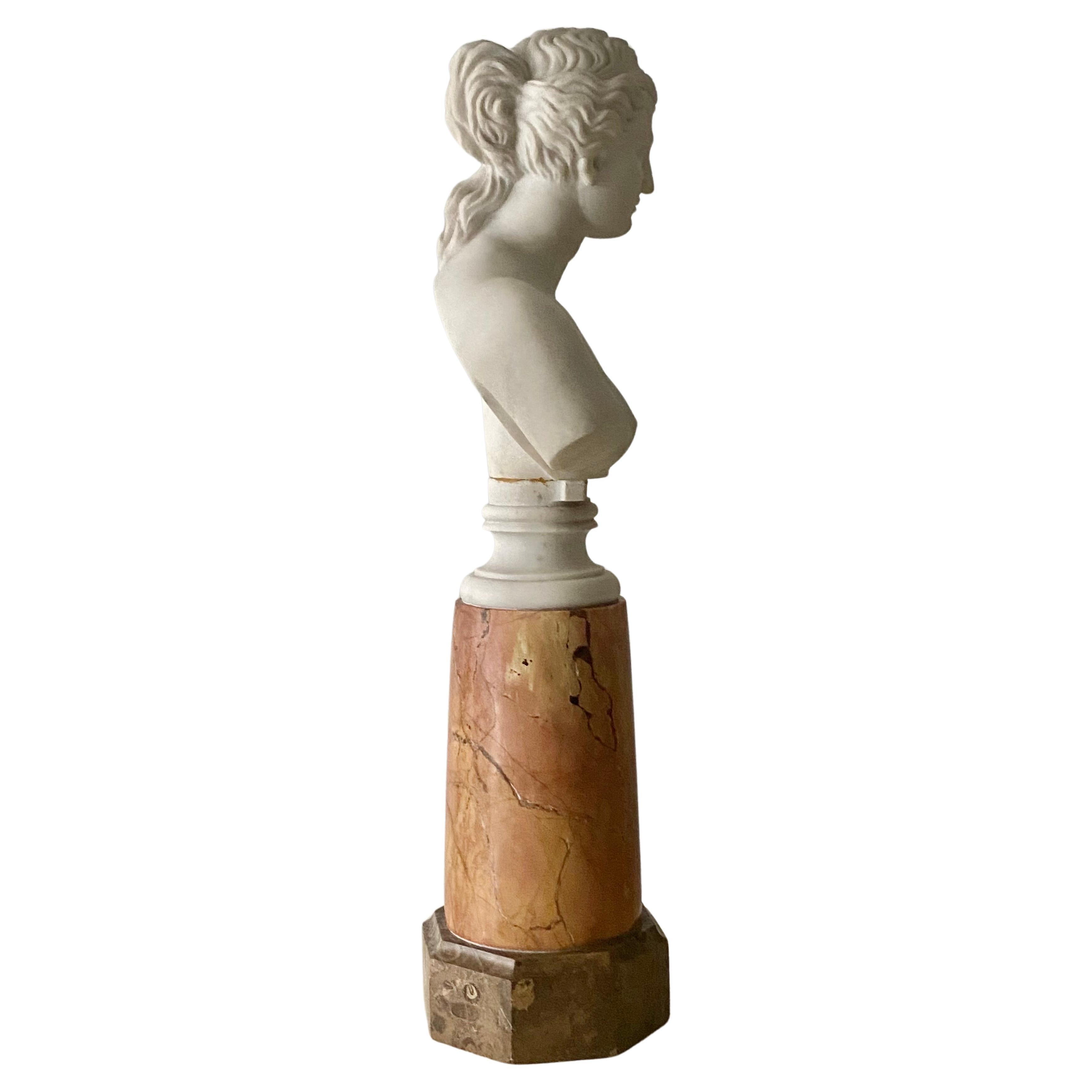 Antique Italian Marble Bust on Stand of Venus De Milo For Sale 1
