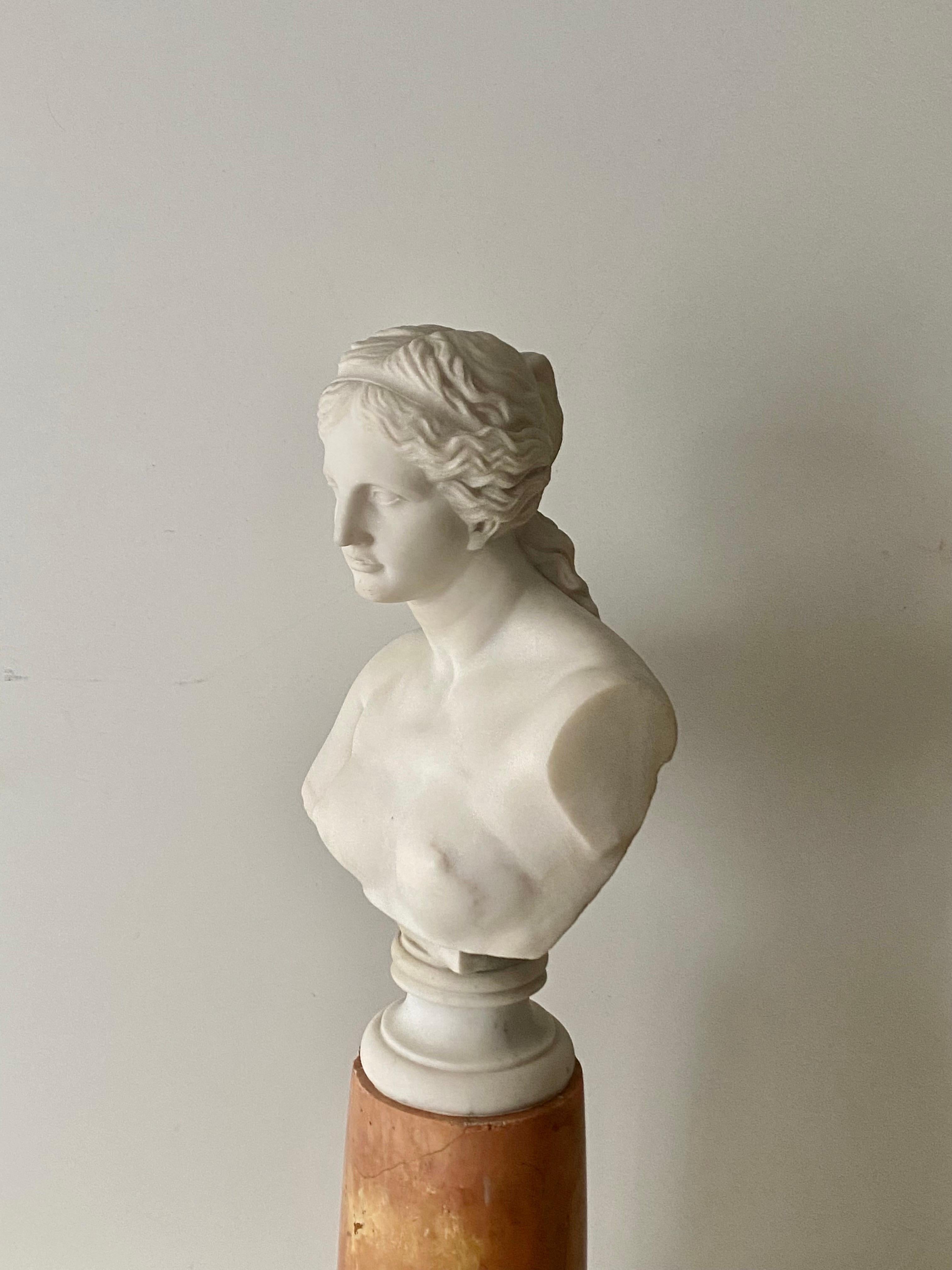 Antique Italian Marble Bust on Stand of Venus De Milo For Sale 3
