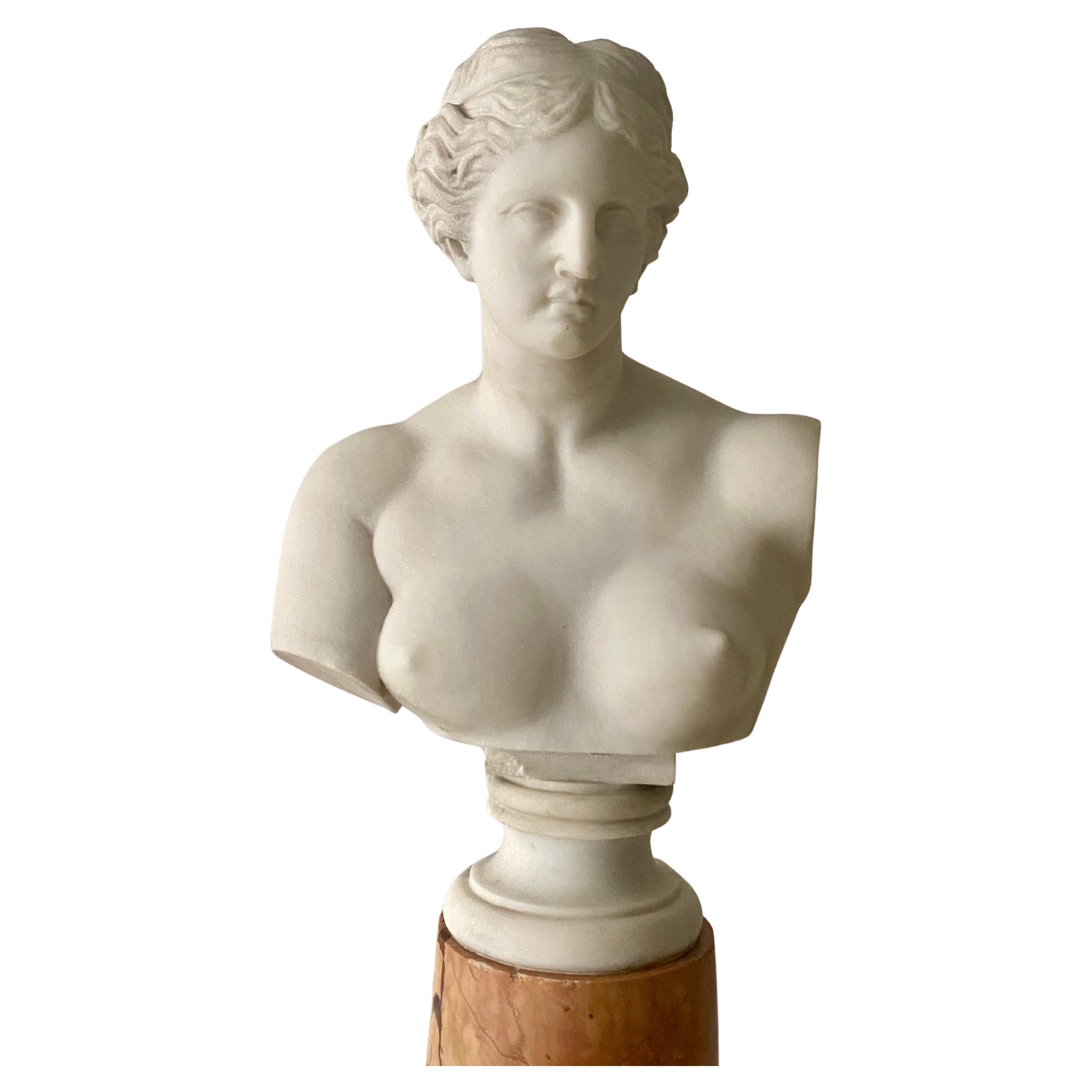 Antique Italian Marble Bust on Stand of Venus De Milo For Sale 4