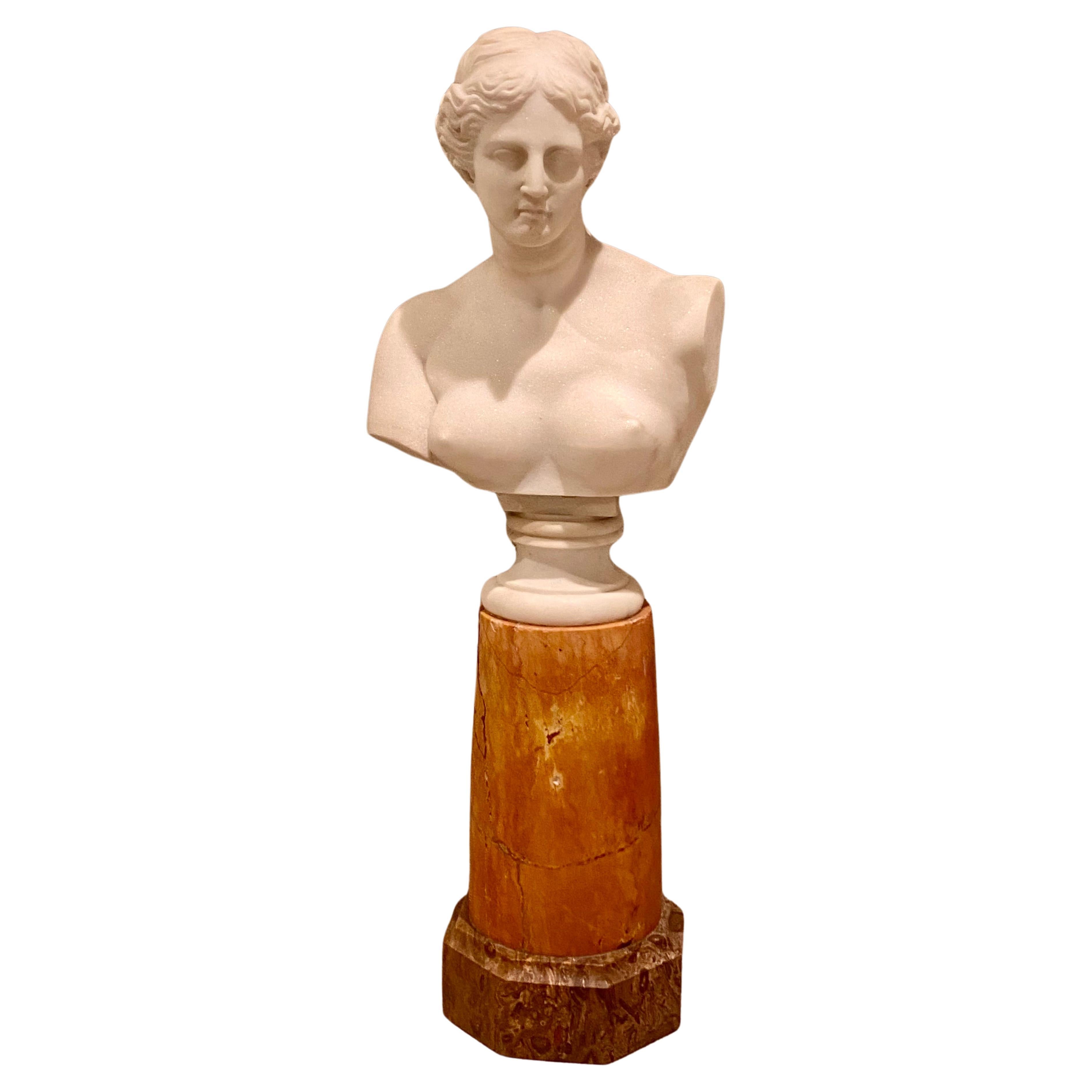Antique Italian Marble Bust on Stand of Venus De Milo