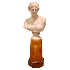 Antique Italian Marble Bust on Stand of Venus De Milo