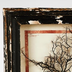 Collage italien ancien en techniques mixtes de style grotte avec coquillages