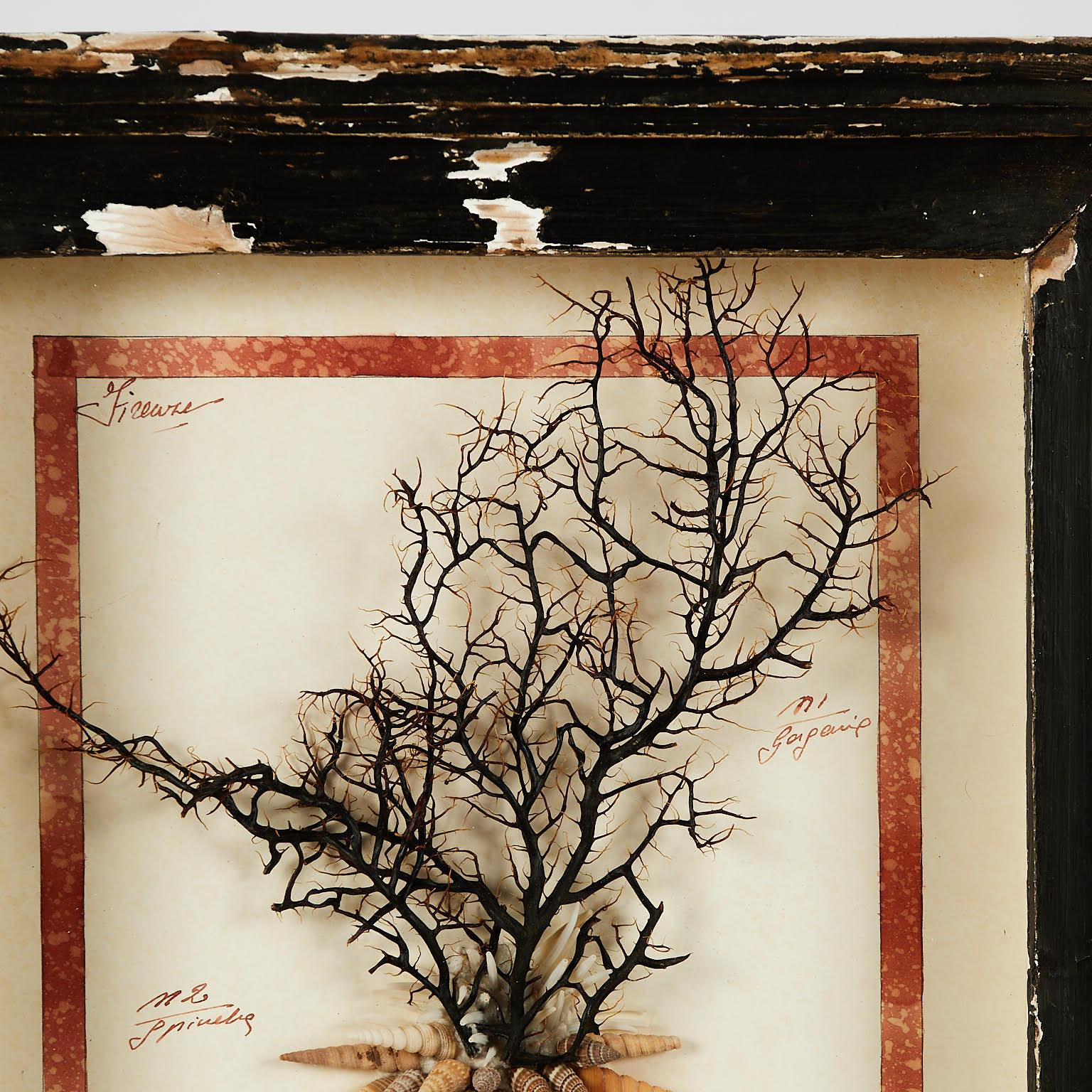 Neoclassical Antique Italian Mixed Media Grotto Style Collage with Seashells For Sale