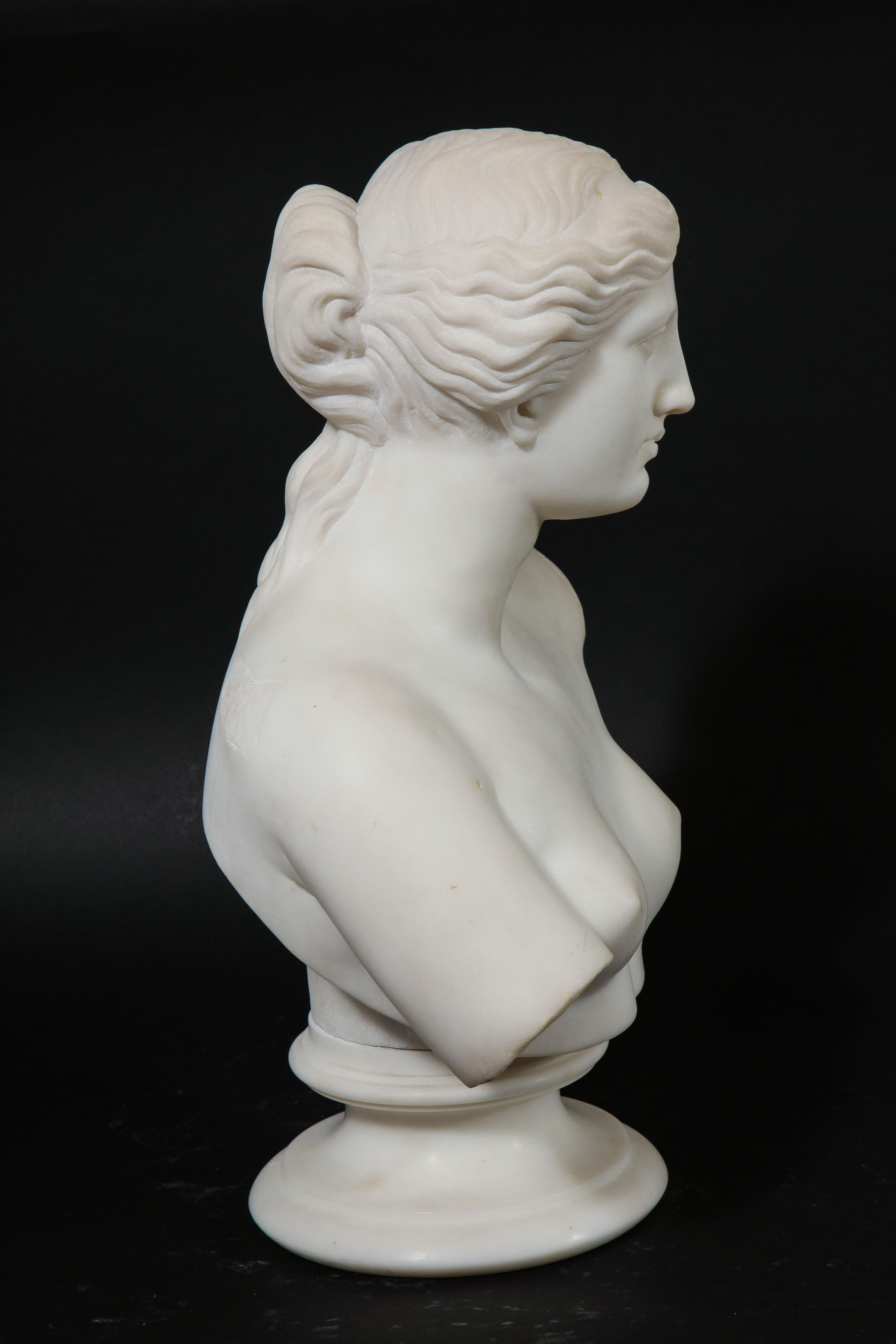 Antique Italian Neoclassical Carrara Marble Bust of Daphne, Apollo's First Love For Sale 6