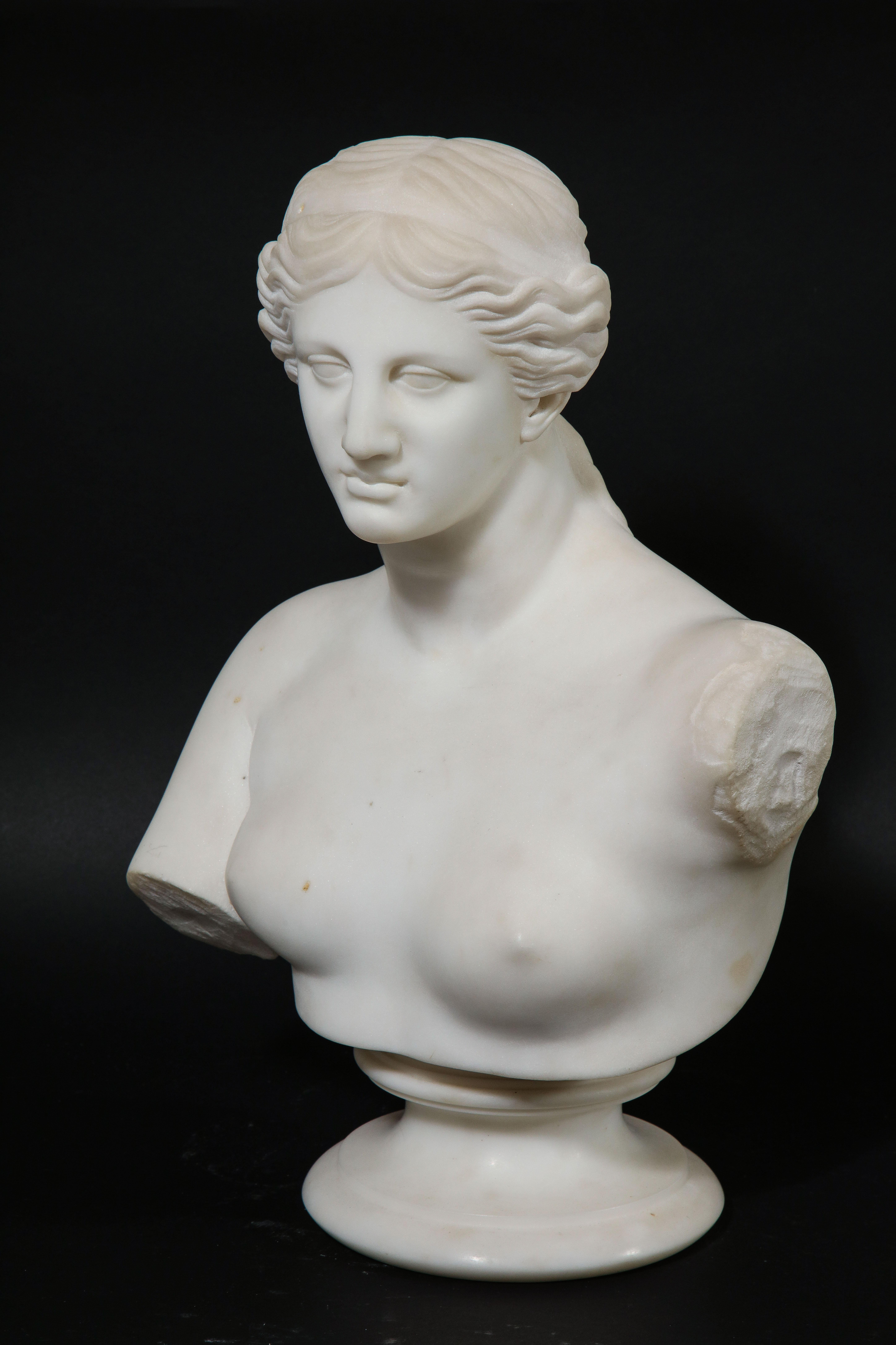 A fabulously hand carved antique neoclassical style Italian Carrara marble bust of Daphne. This bust is of immaculate quality and craftsmanship. Daphne's hair is beautifully hand carved with interlocking waves which terminate into a pony-tail. She