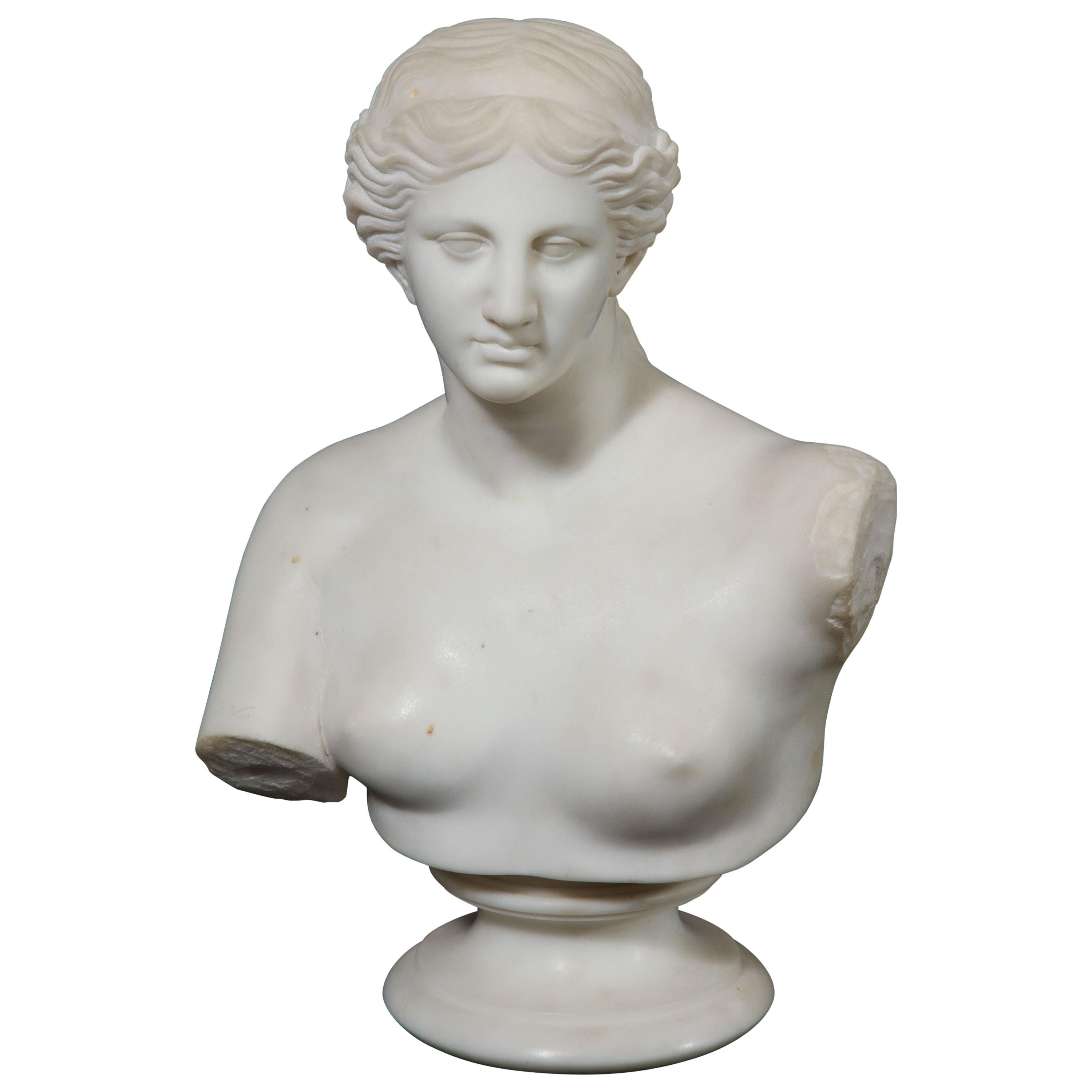 Antiquité italienne néoclassique en marbre de Carrare Buste de Daphné, premier amour d'Apollo