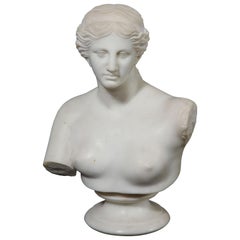 Antique Italian Neoclassical Carrara Marble Bust of Daphne, Apollo's First Love
