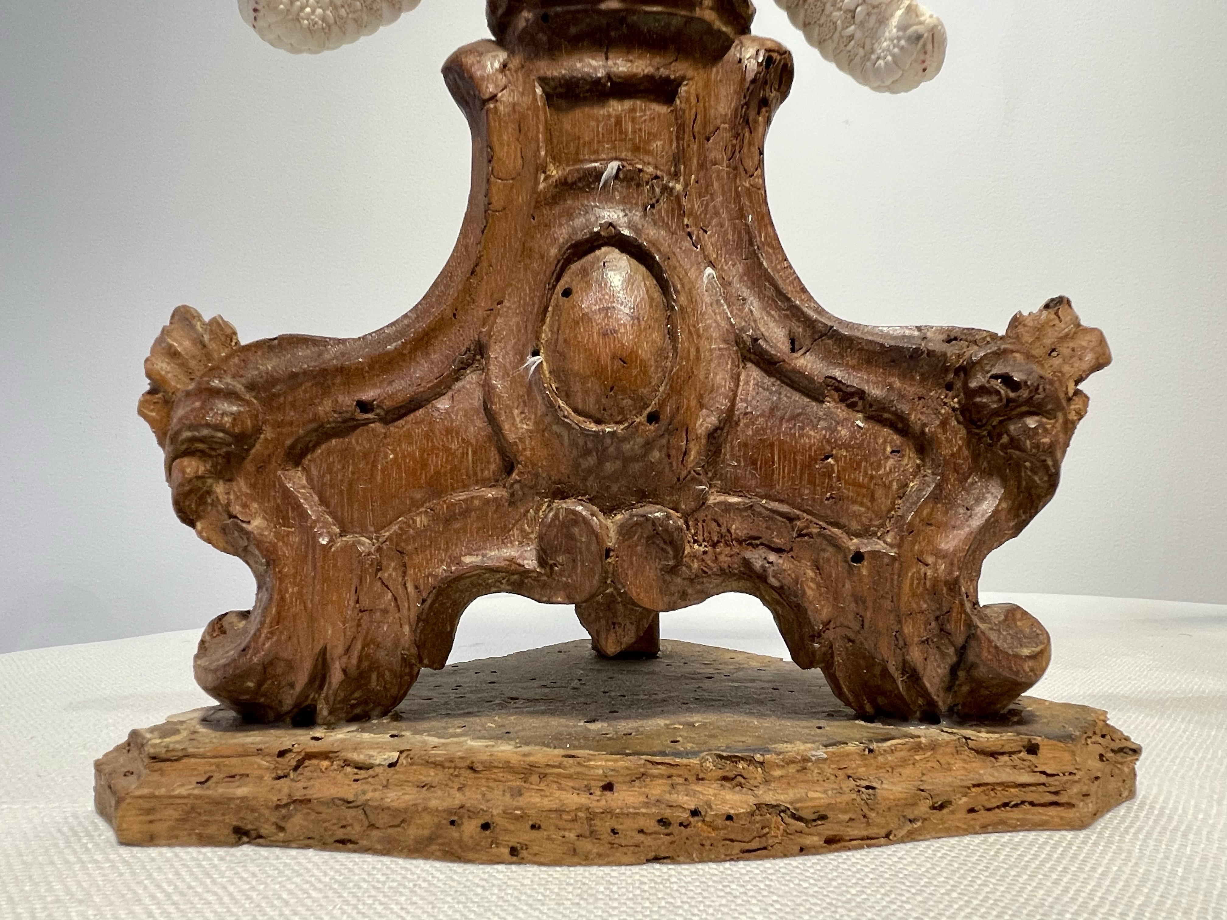 Rococo Sicilian Olive Wood Starfish Stands Circa 1880