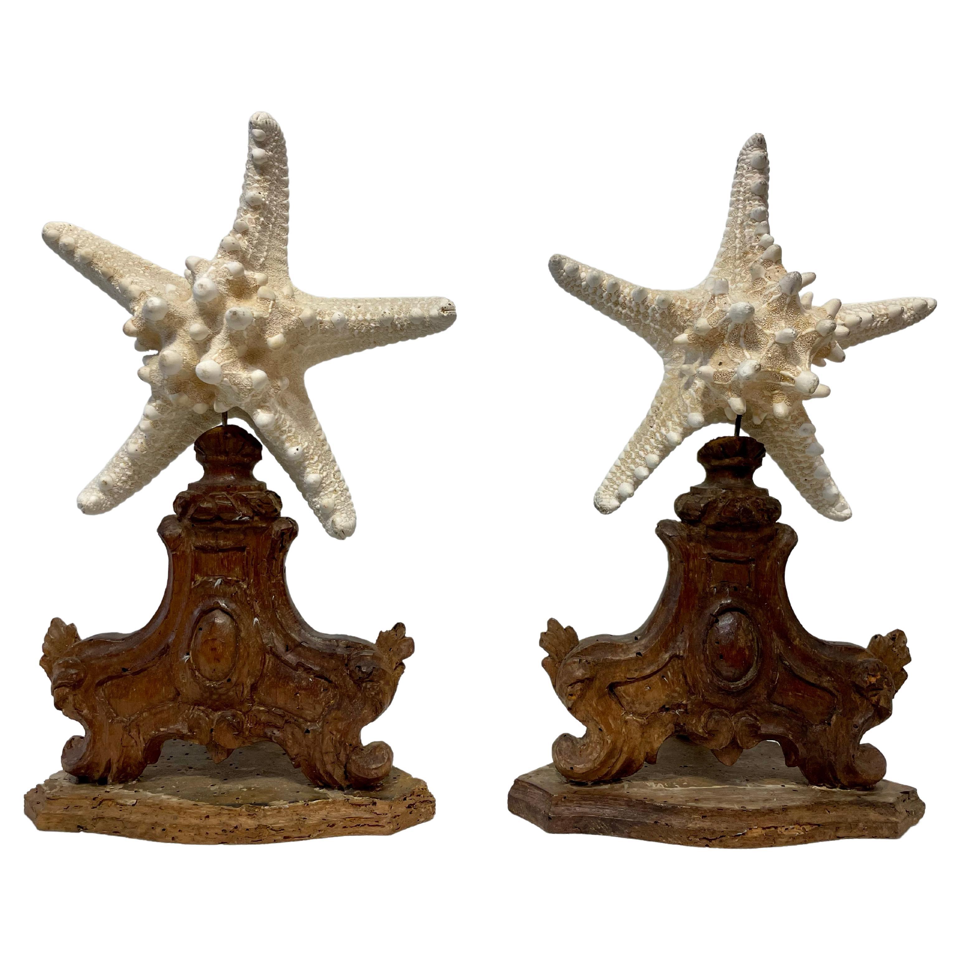 Sicilian Olive Wood Starfish Stands Circa 1880