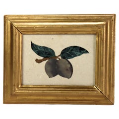 Antiguo Mosaico Italiano de Pietra DURA, Enmarcado, C1920