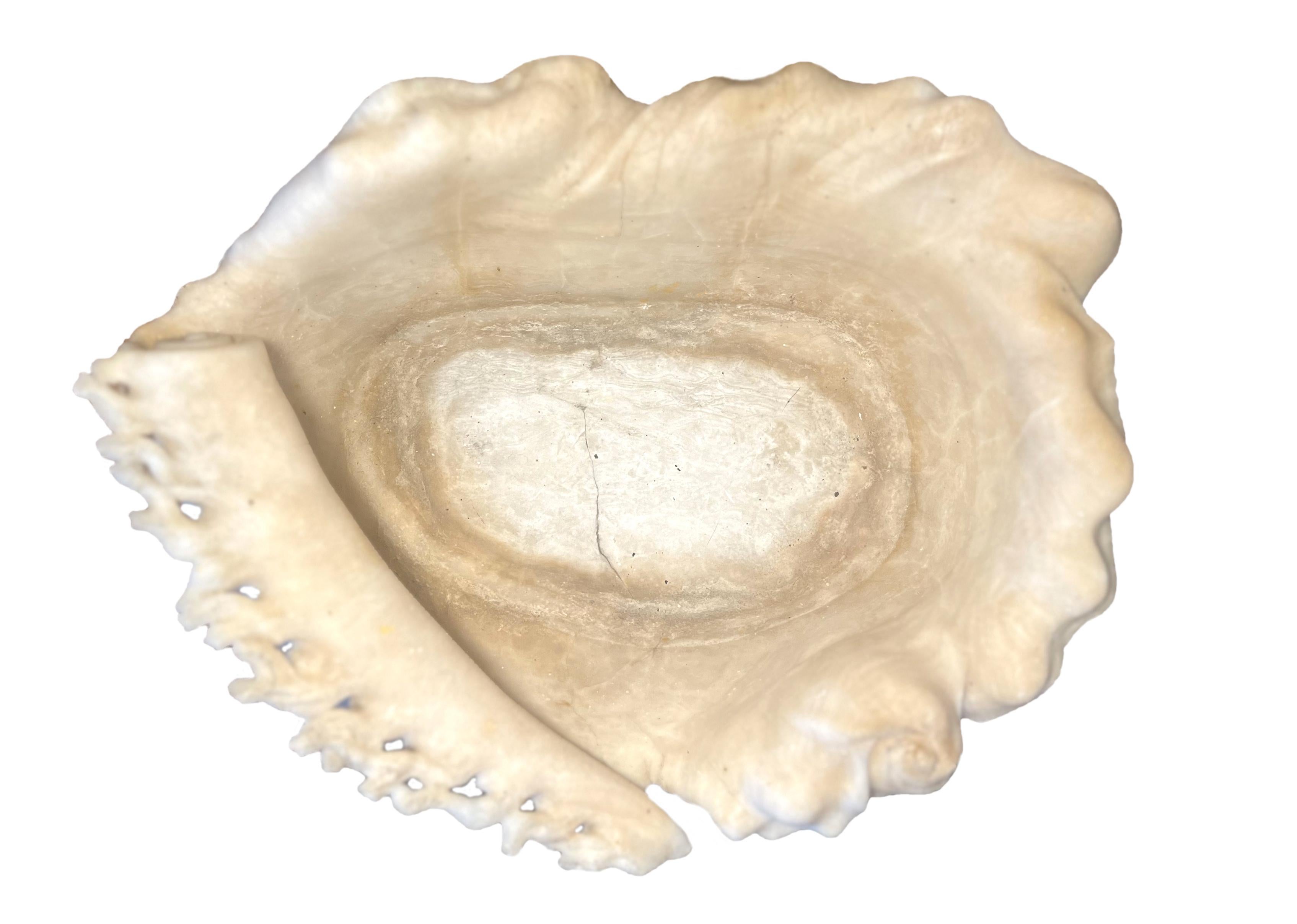 Antique italian Roman Alabaster Shell For Sale 2