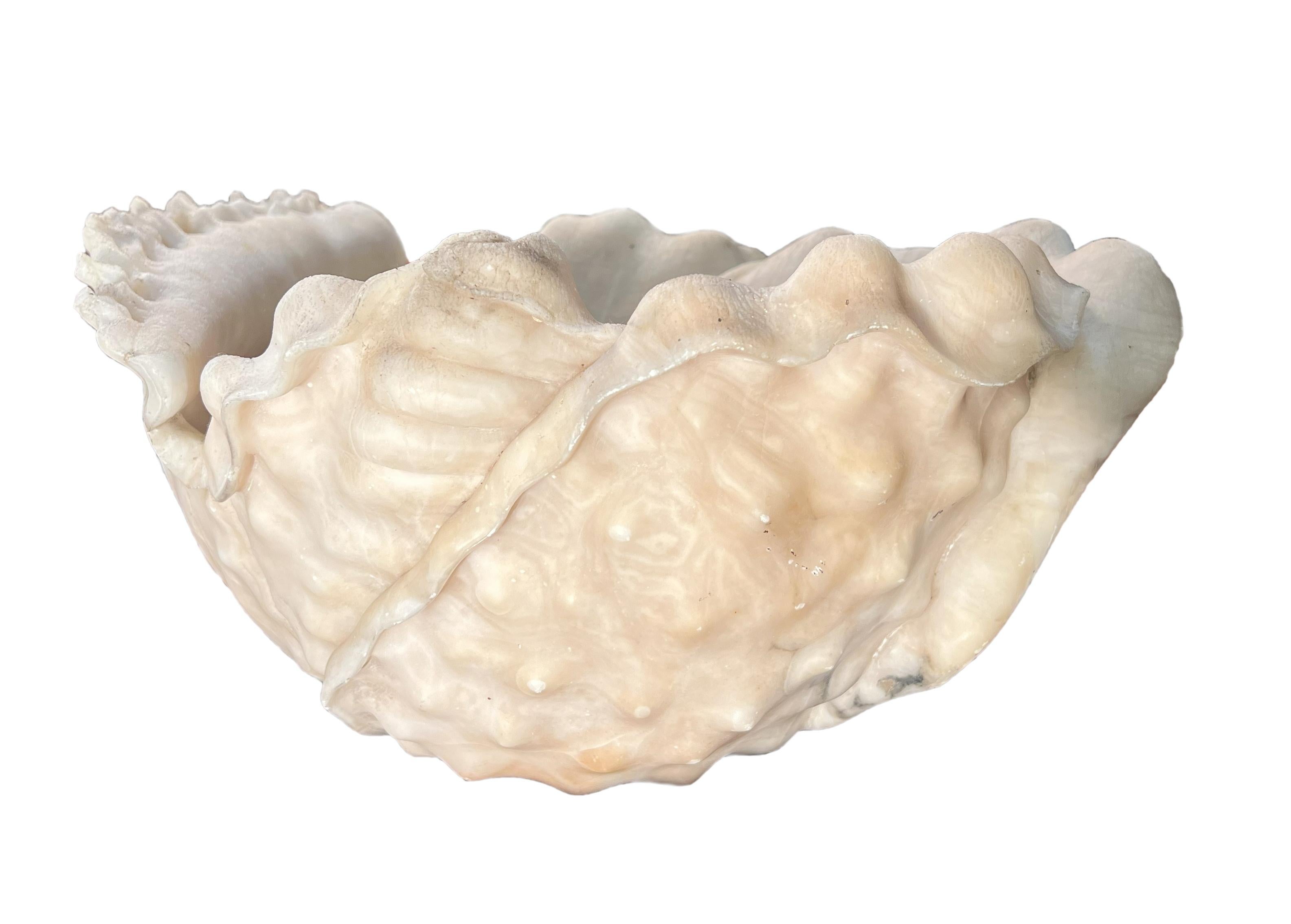 Baroque Revival Antique italian Roman Alabaster Shell For Sale