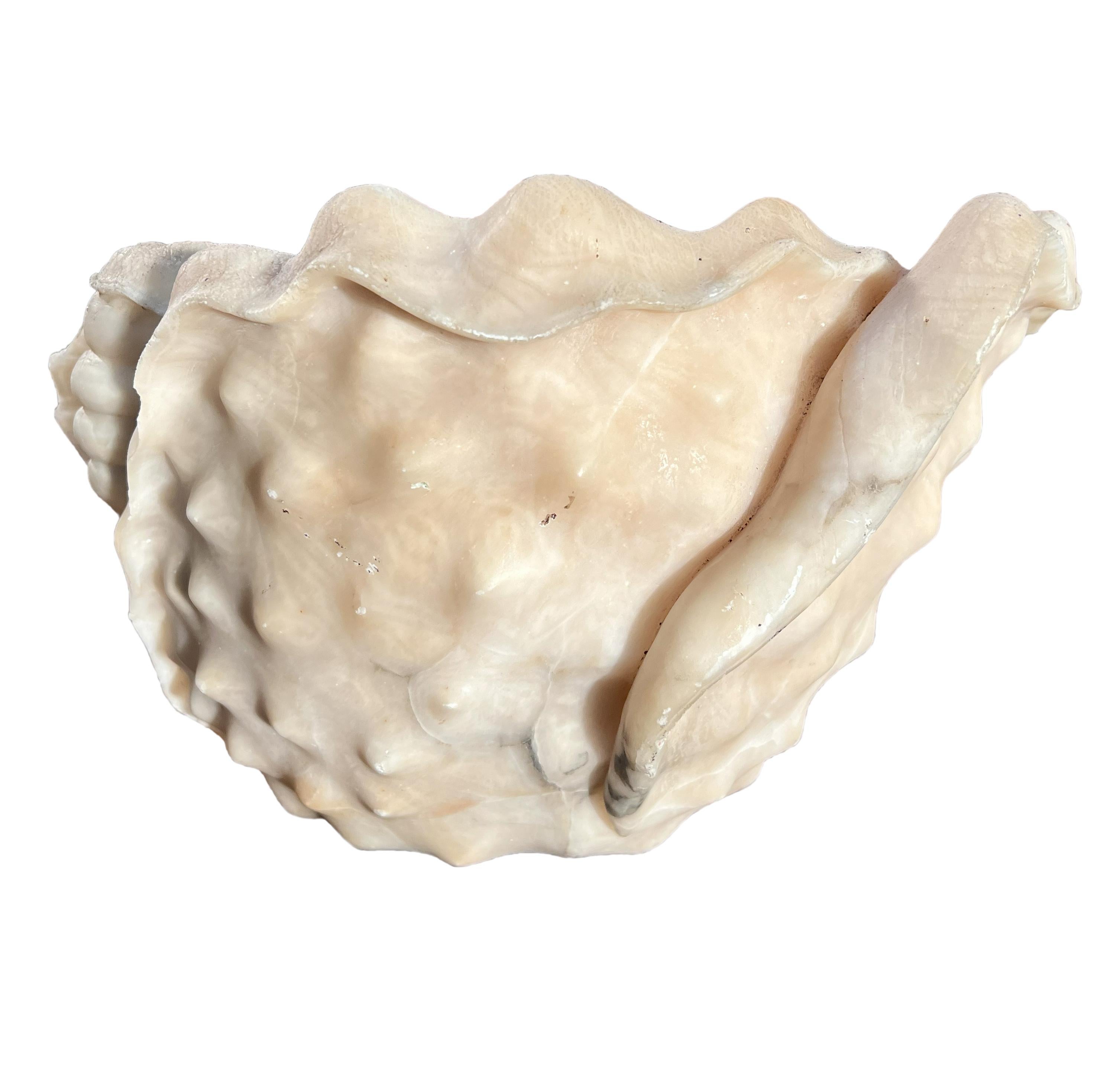 Sculpté à la main Coquillage italien ancien en albâtre romain en vente
