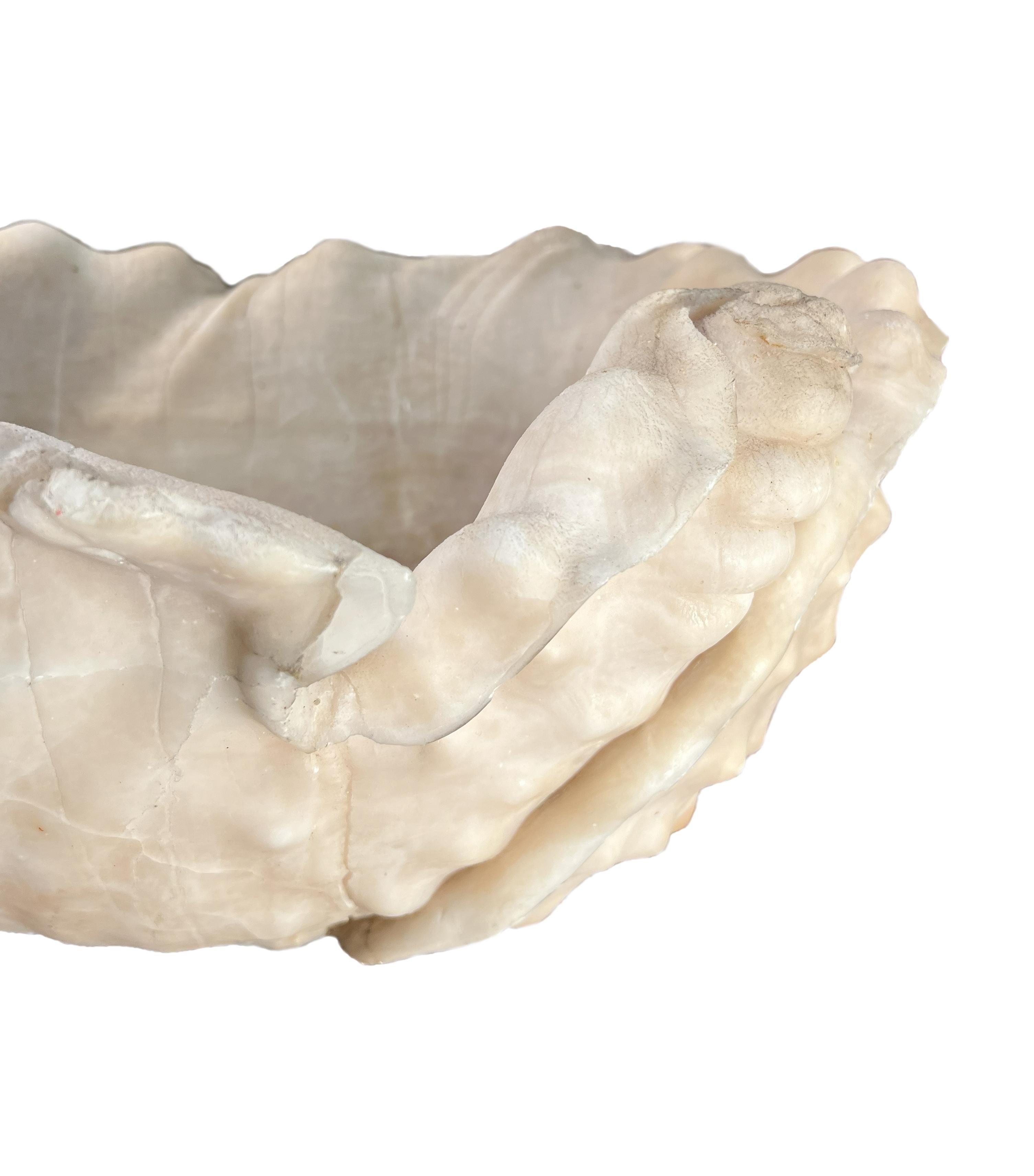 Antique italian Roman Alabaster Shell In Good Condition For Sale In Encinitas, CA