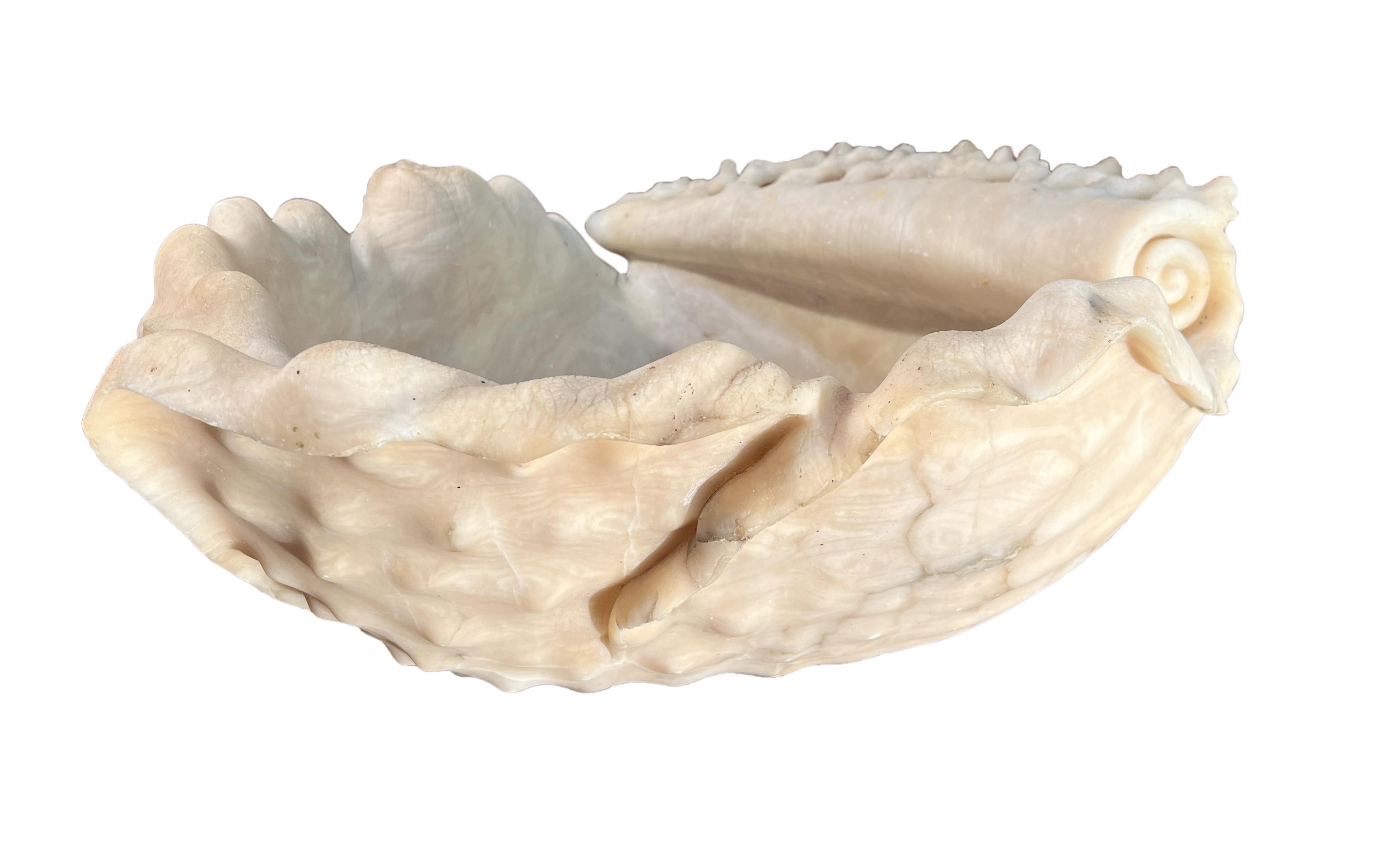 Antique italian Roman Alabaster Shell For Sale 1