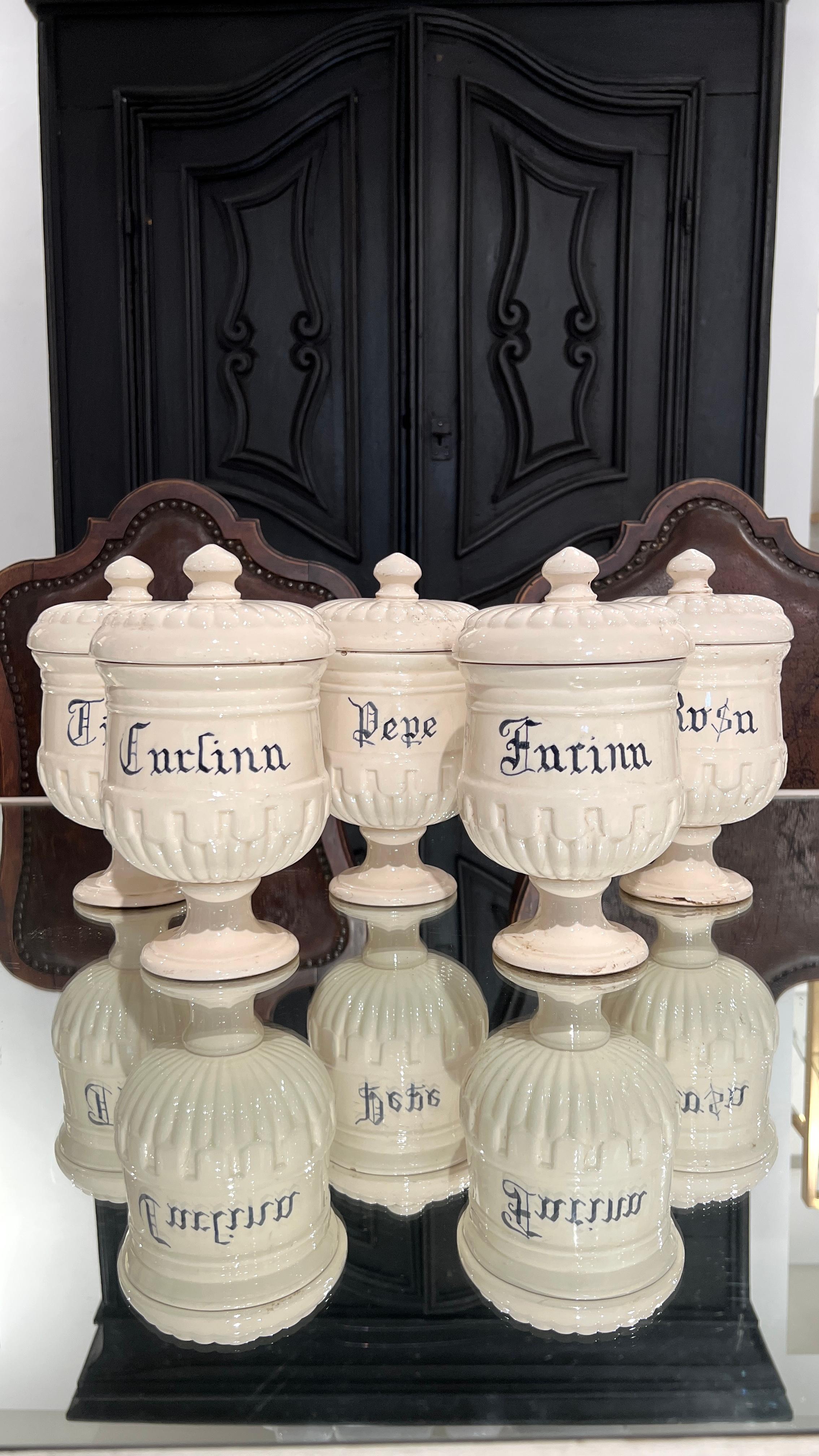 Ensemble italien ancien de 10 jarres avec couvercles en vente 10