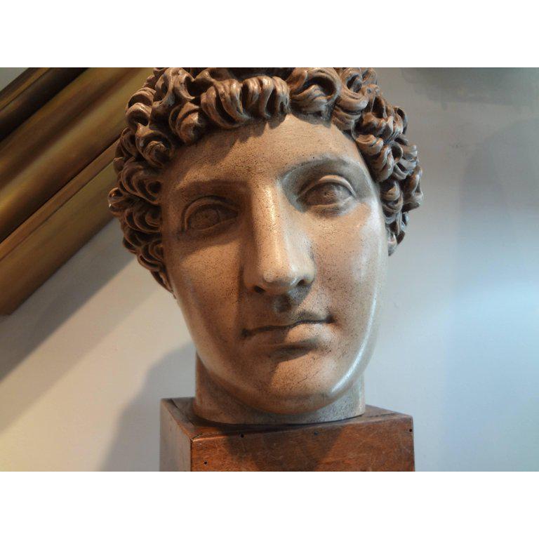 Classical Roman Antique Italian Terracotta Classical Bust on a Wood Base
