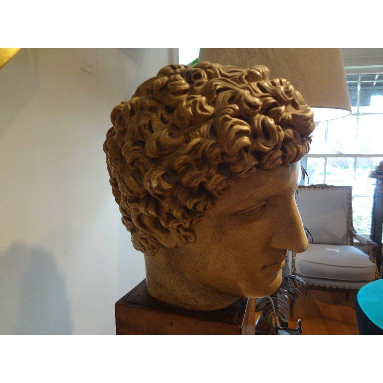 Antique Italian Terracotta Classical Bust on a Wood Base In Good Condition In Houston, TX