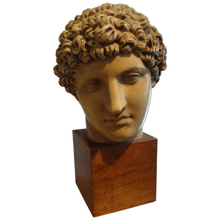 Antique Italian Terracotta Classical Bust on a Wood Base 2