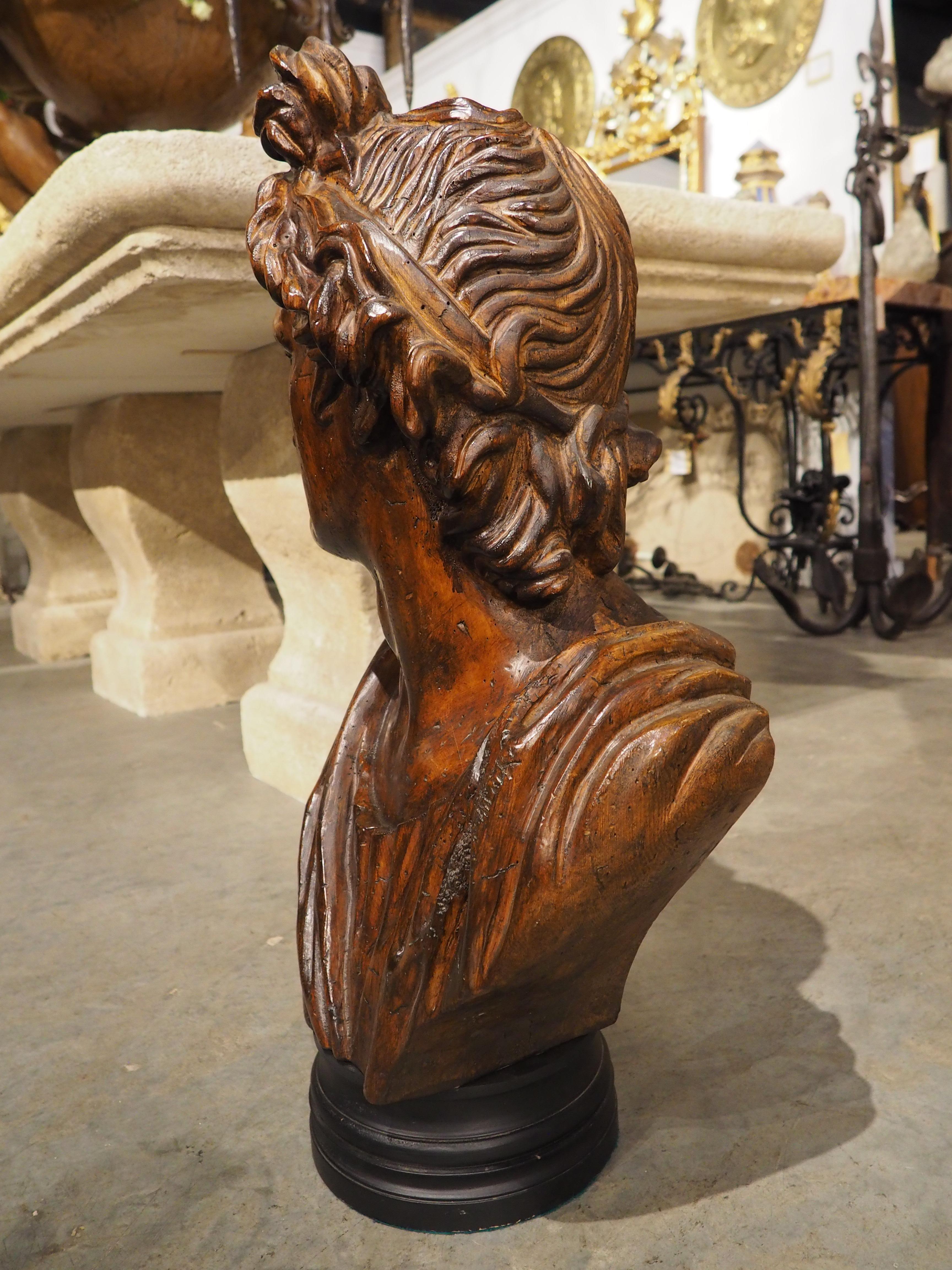 Antike italienische Holzbüste des Apollo Belvedere aus Holz, 19. Jahrhundert im Angebot 6