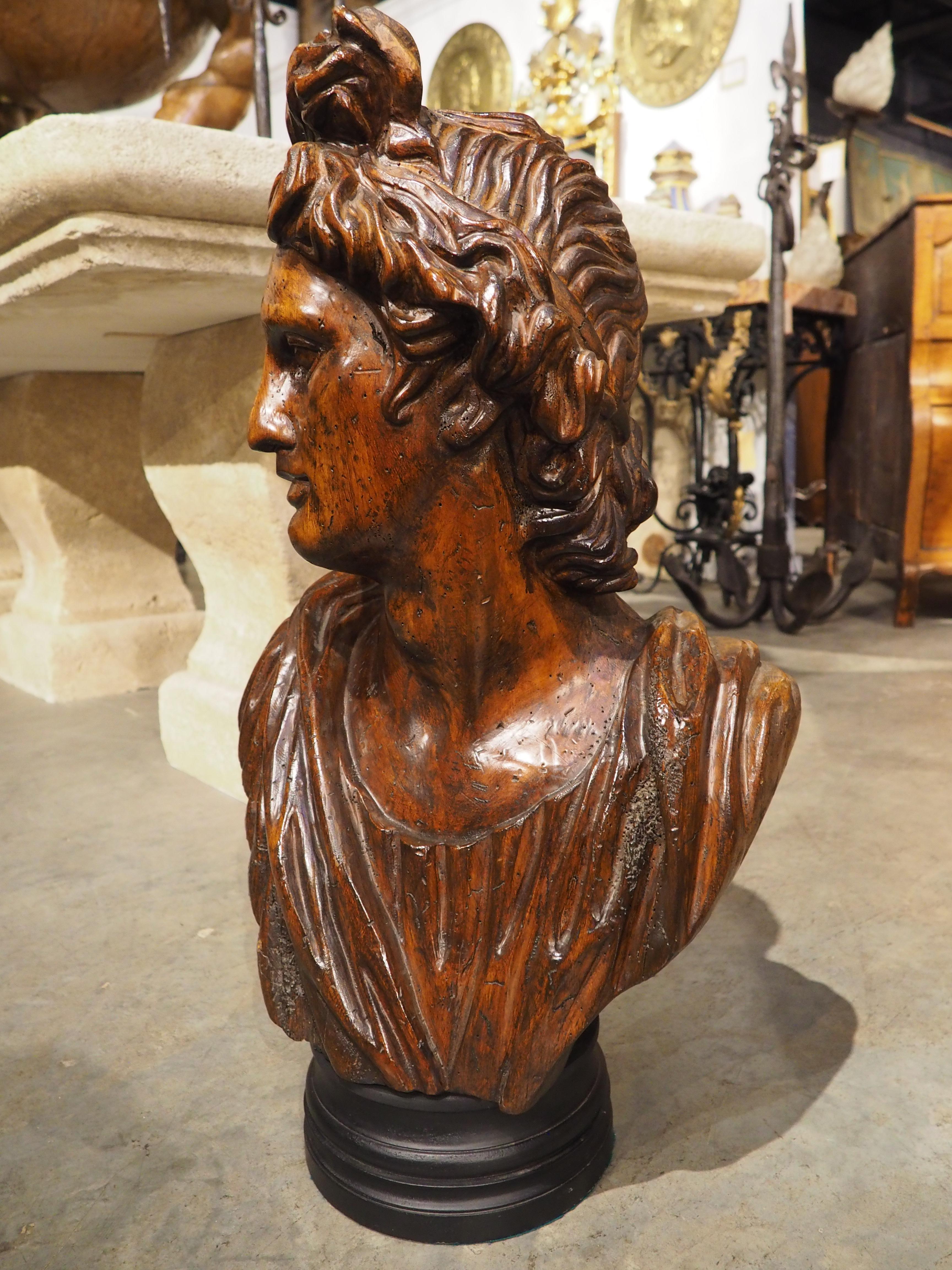 Antique Italian Wooden Bust of Apollo Belvedere, 19th Century For Sale 8