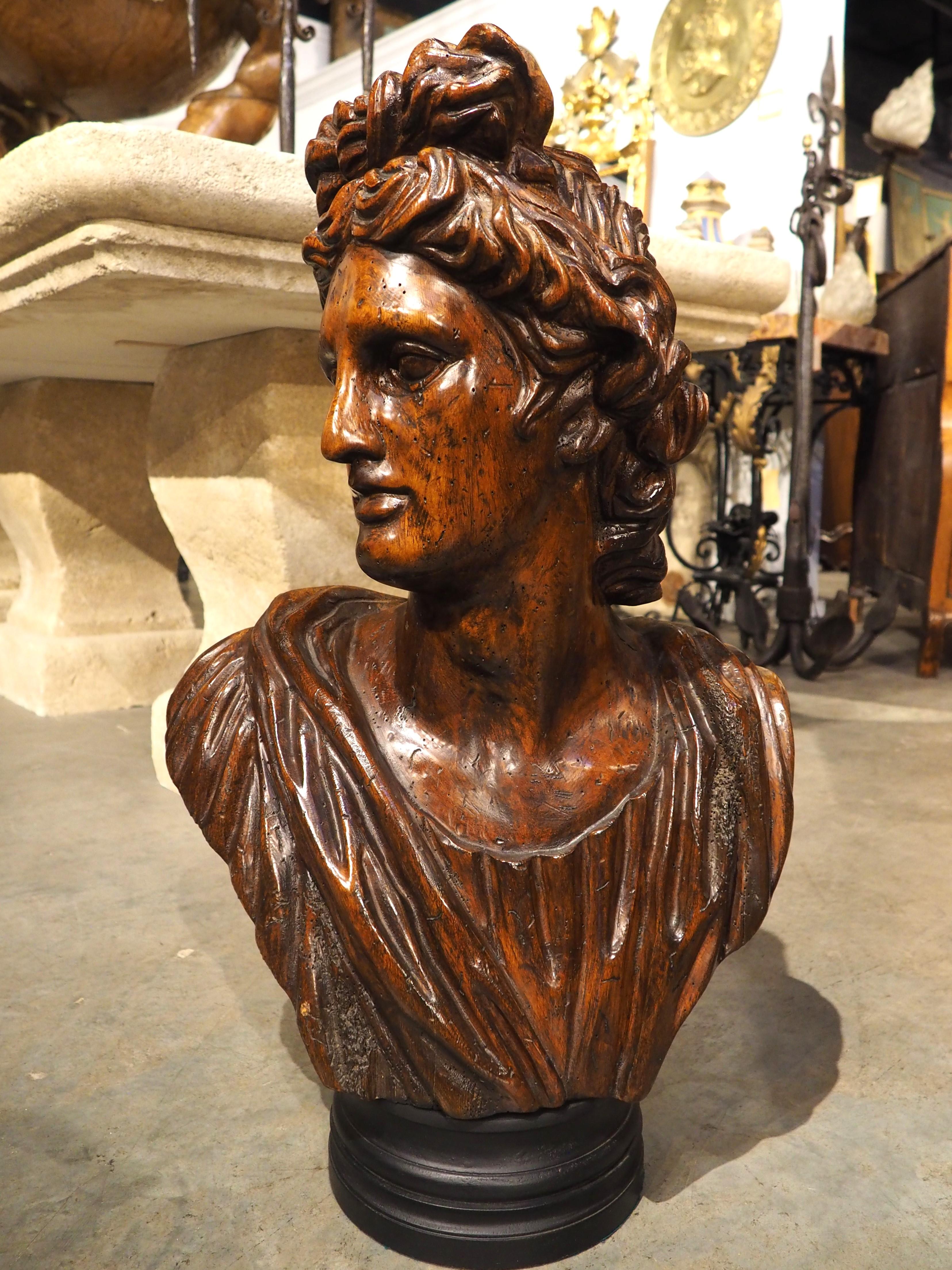 Buste italien ancien en bois d'Apollo Belvedere, 19e siècle en vente 9